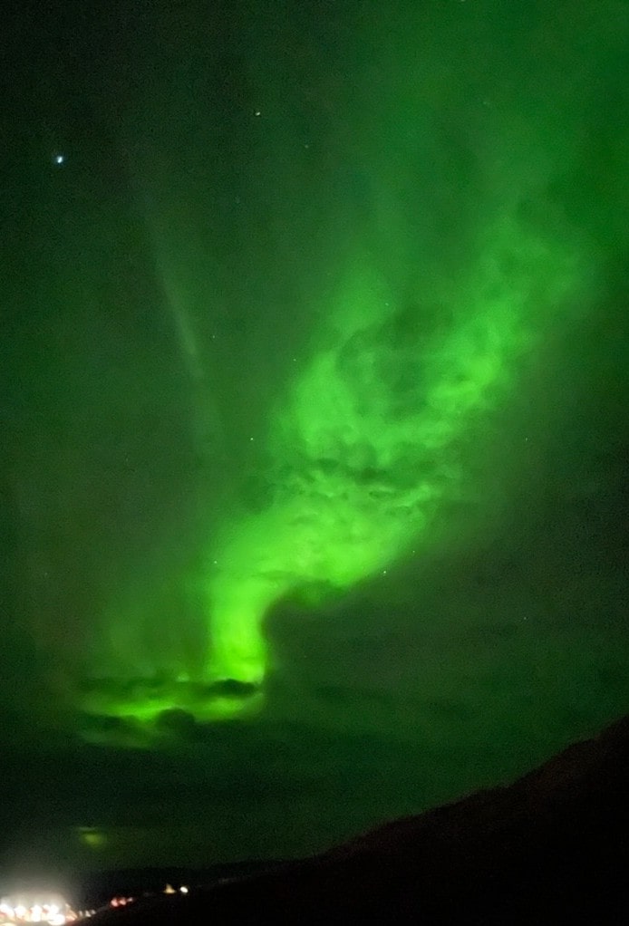 Cutie took this photo using his iPhone.