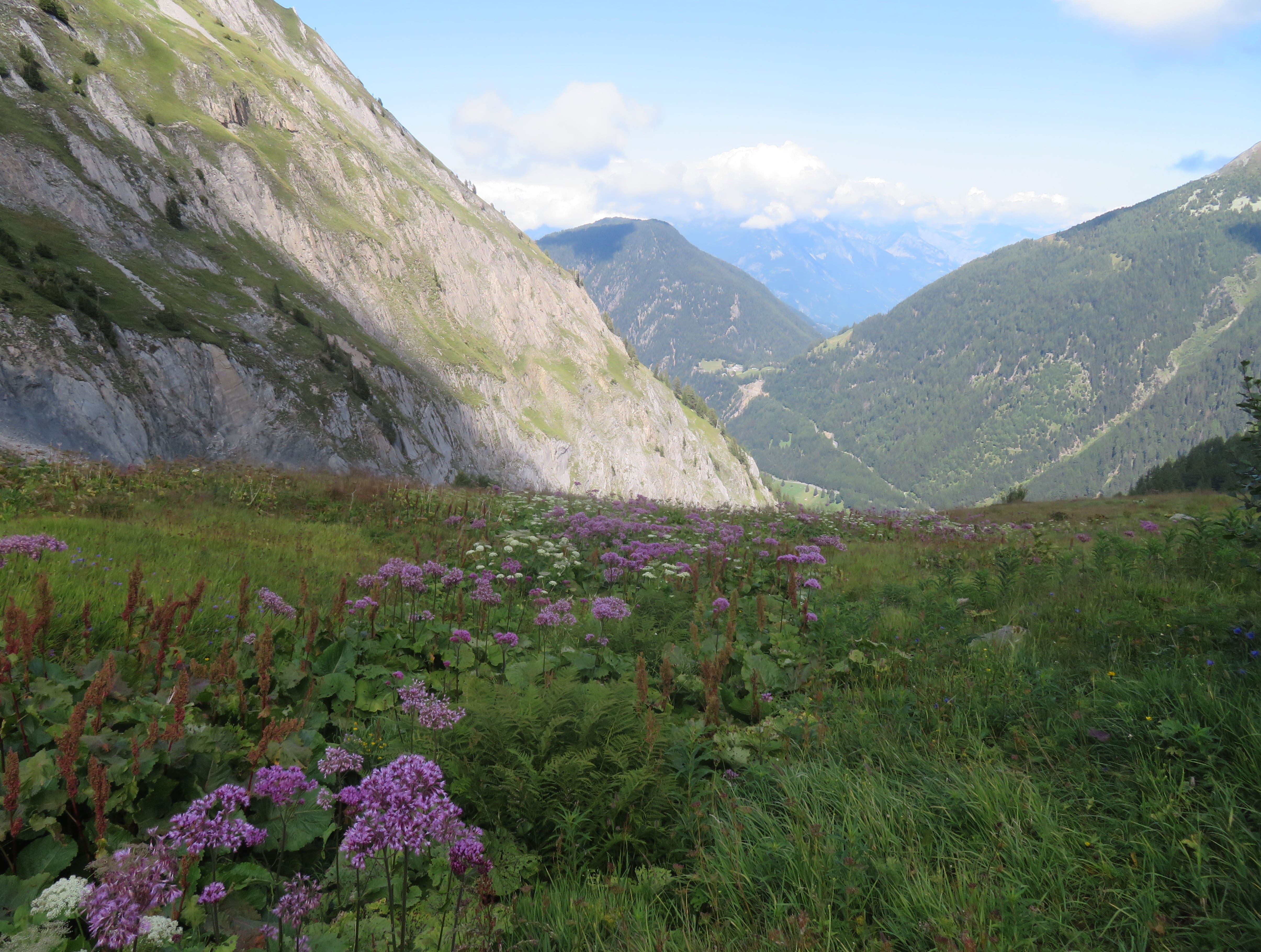 Fantastic view on our way down from Col de Balme