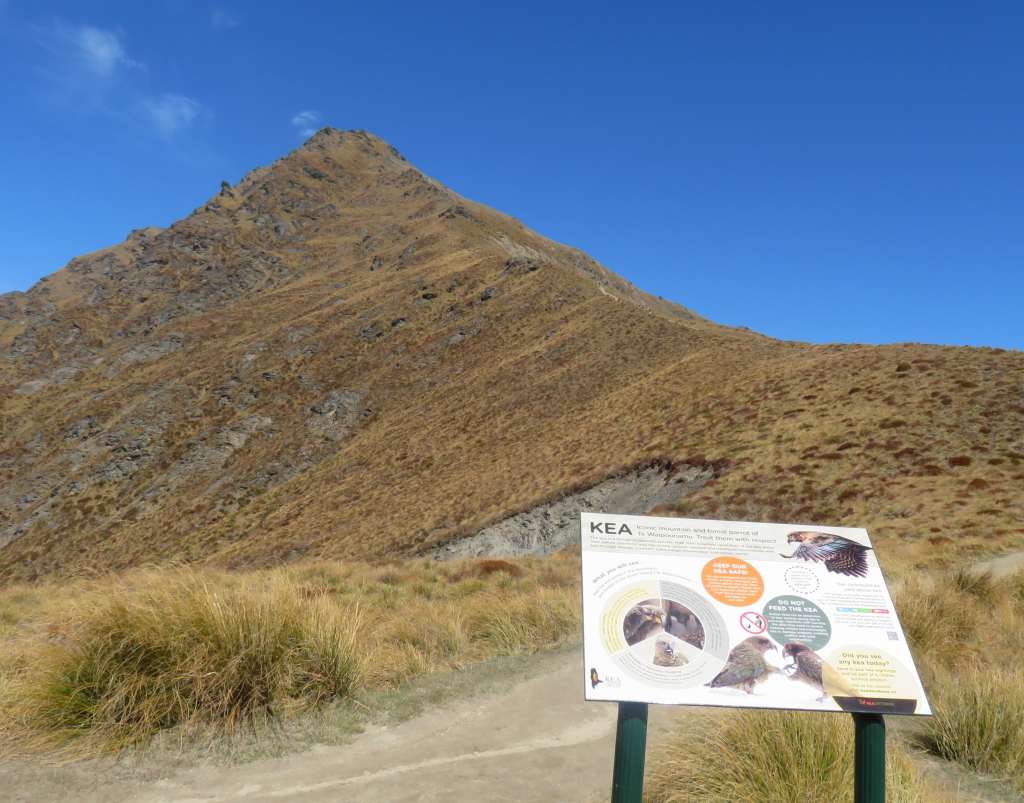 View of Ben Lomond peak from the Saddle