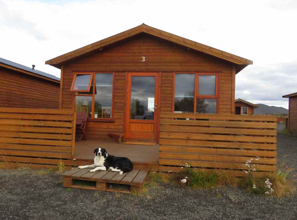 A resident dog guarding our cabin