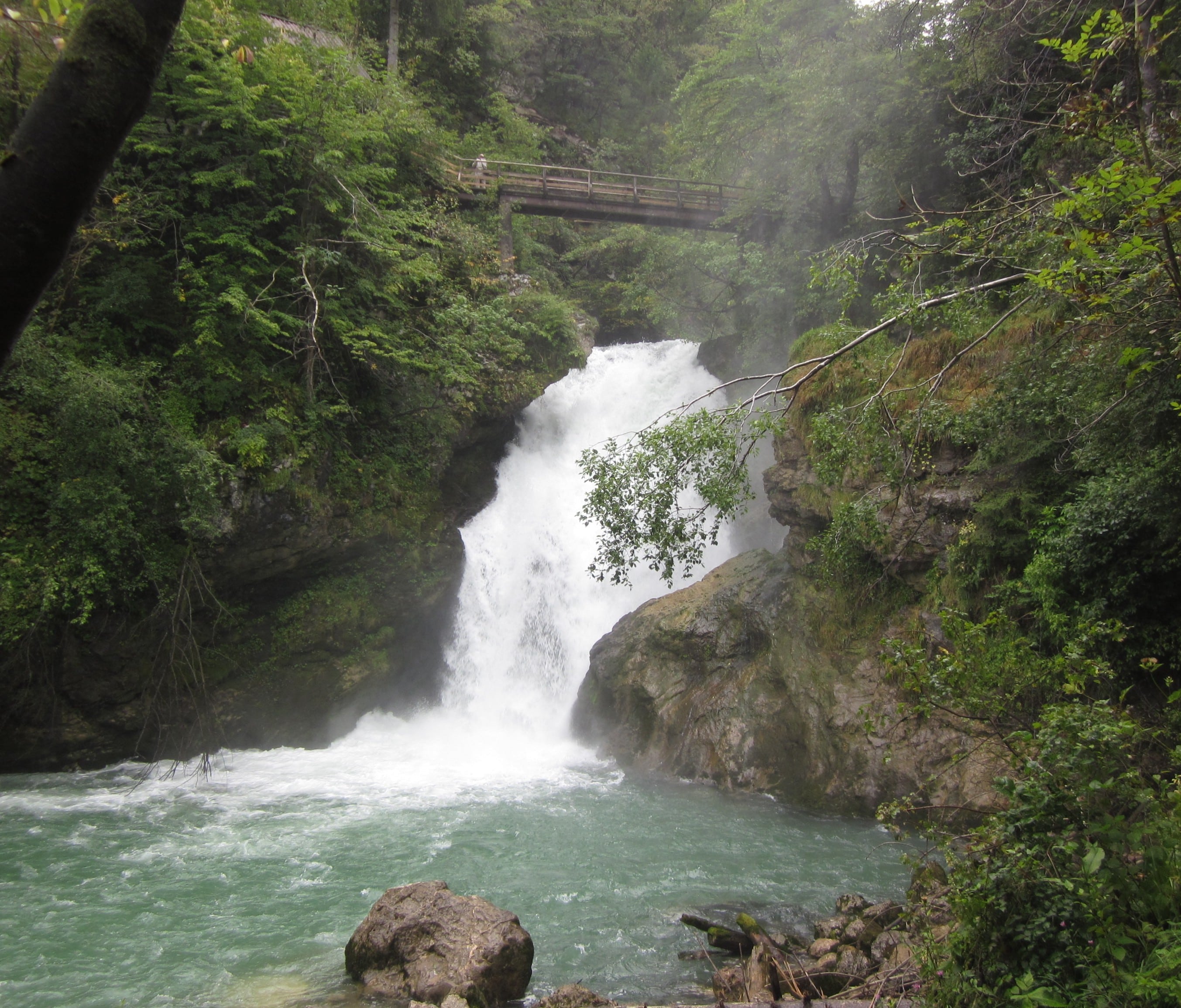 There was plenty of water and several waterfalls inside Vintgar Gorge.