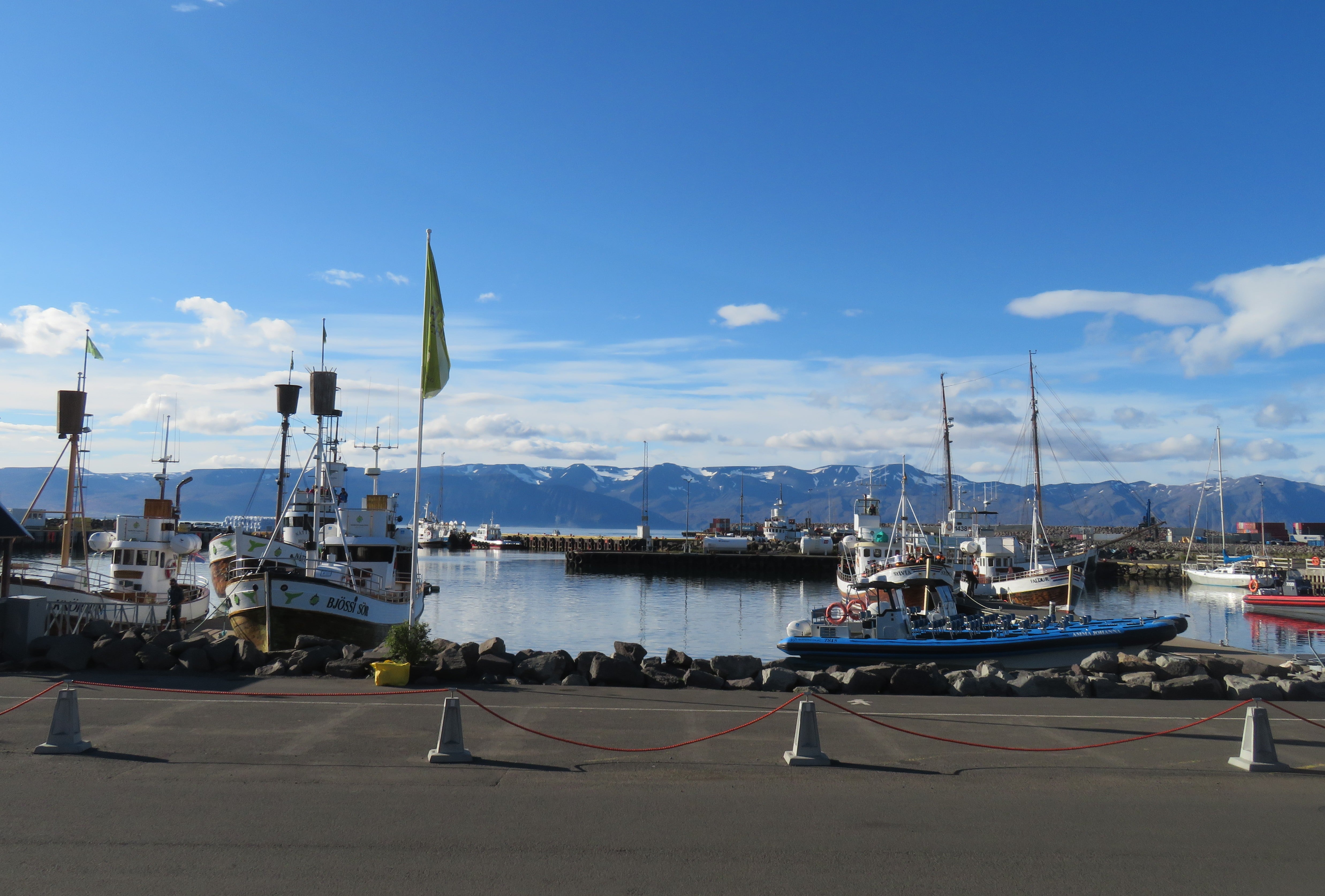 Husavik Harbor view