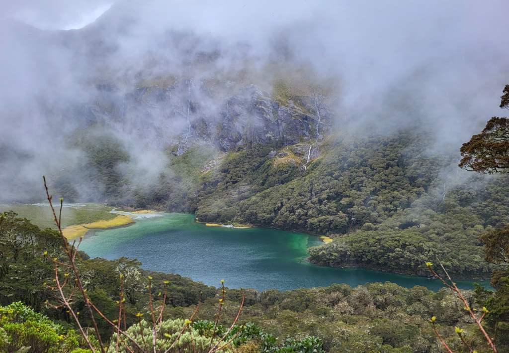 Emerald Lake Mackenzie view from above