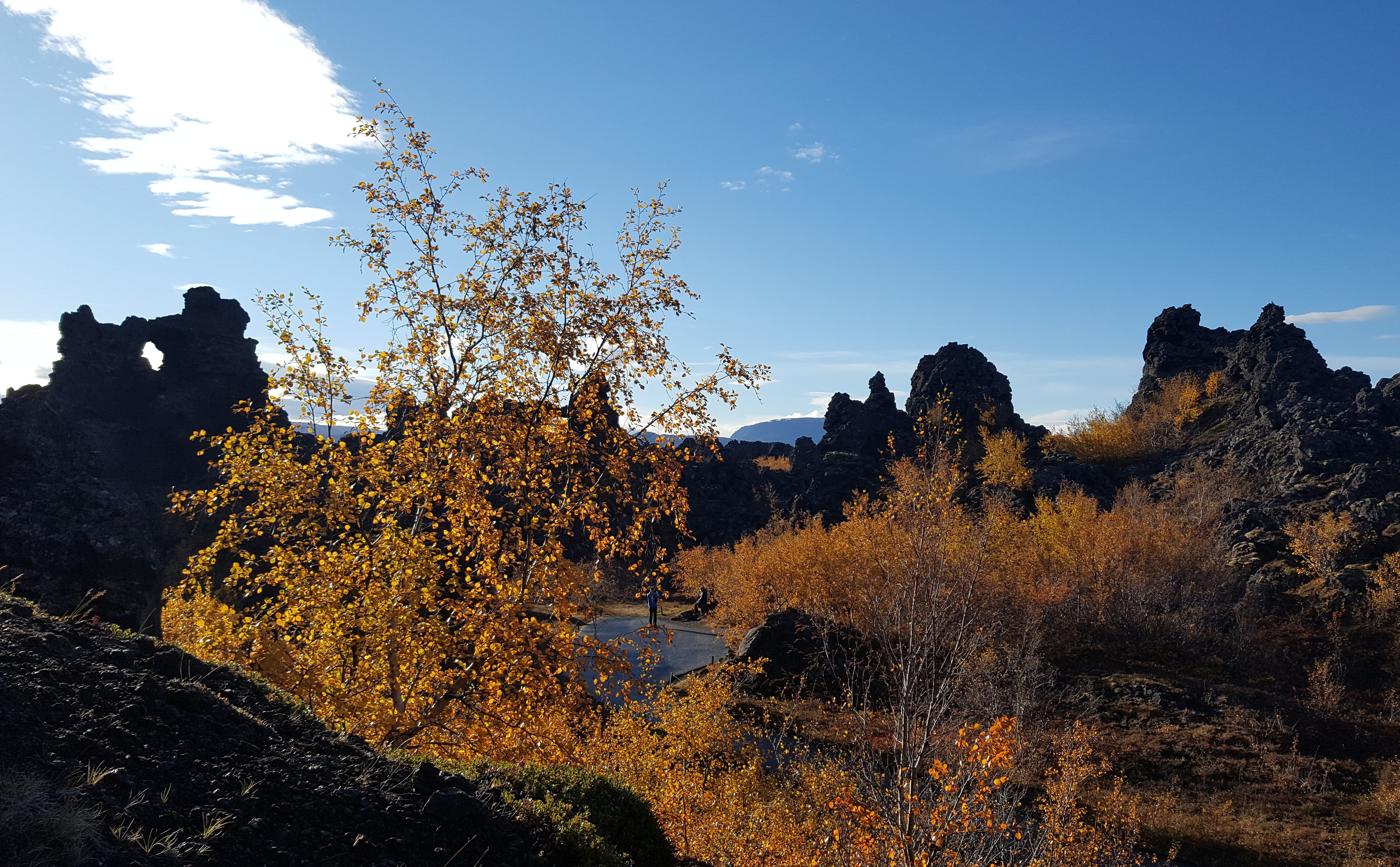 Dimmuborgir Lava Formation and fall colors