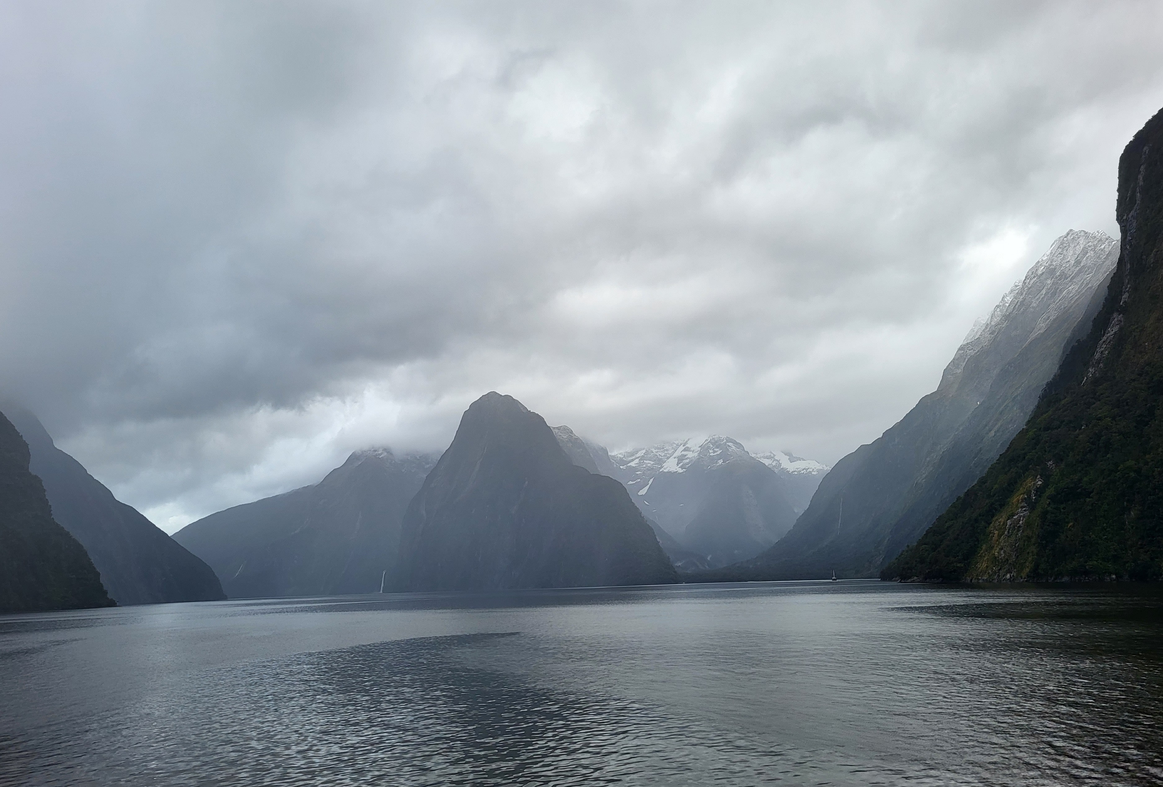 Milford Sound in the morning fog