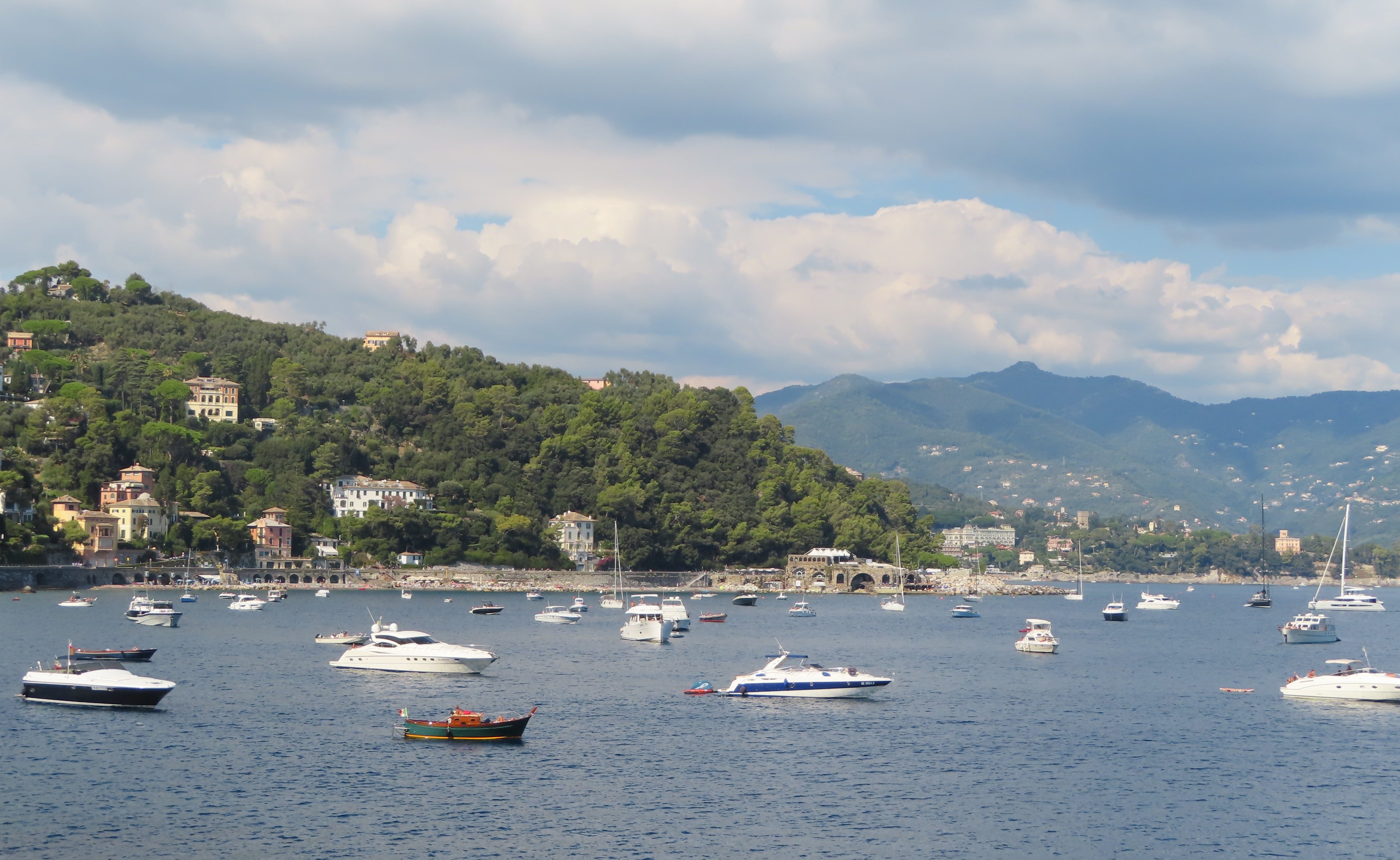 Many sailboats in the bay