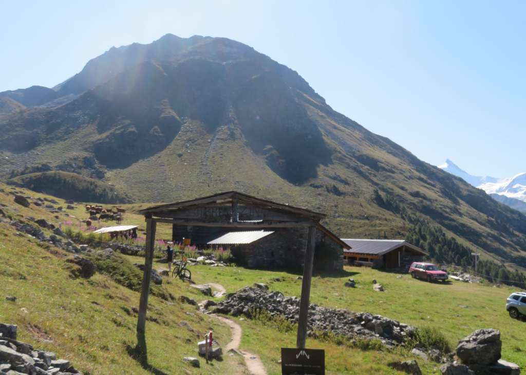 We walked past a ranch this morning