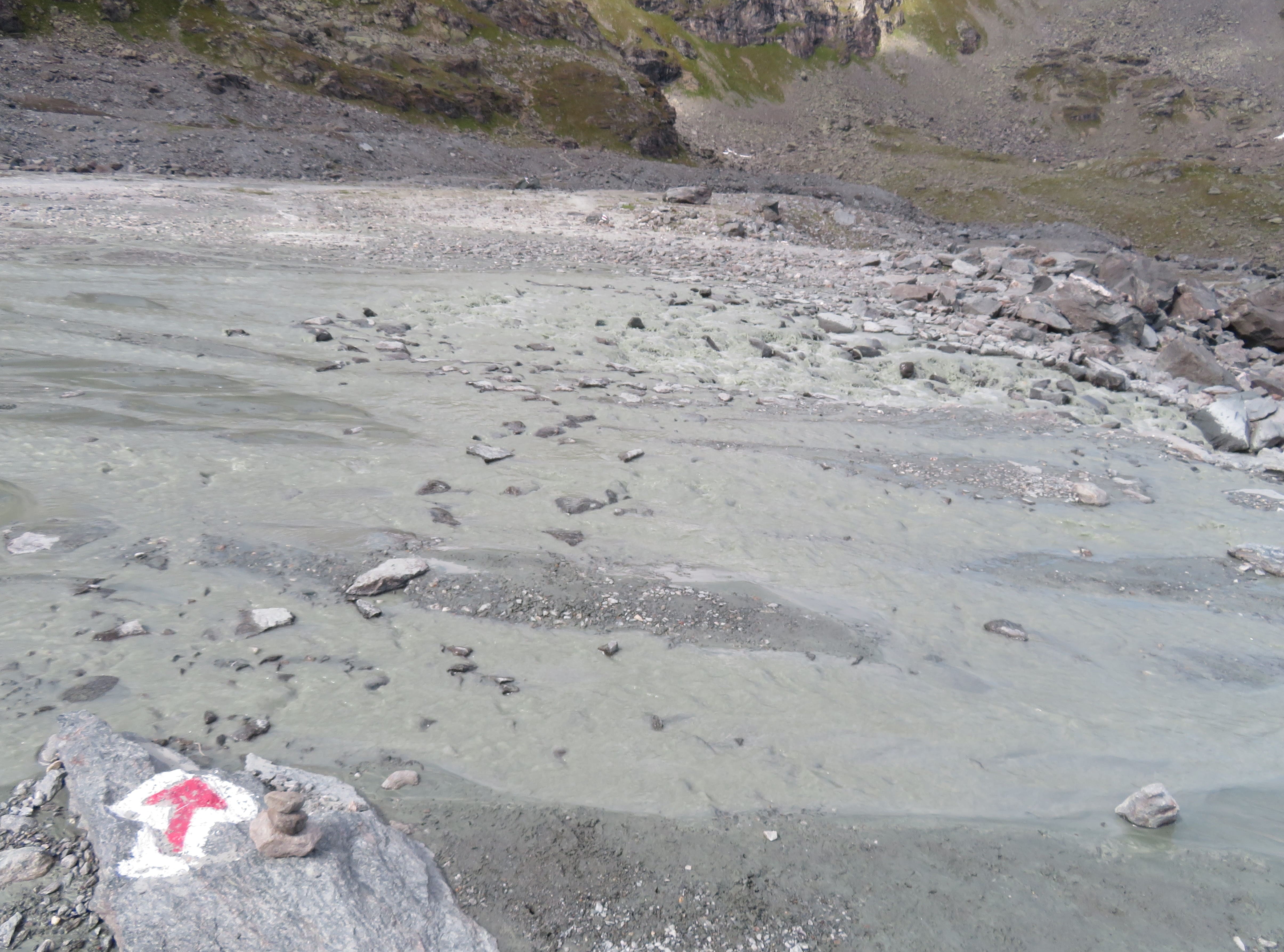 We had to cross a shallow river on the way to Cabane de Prafleuri