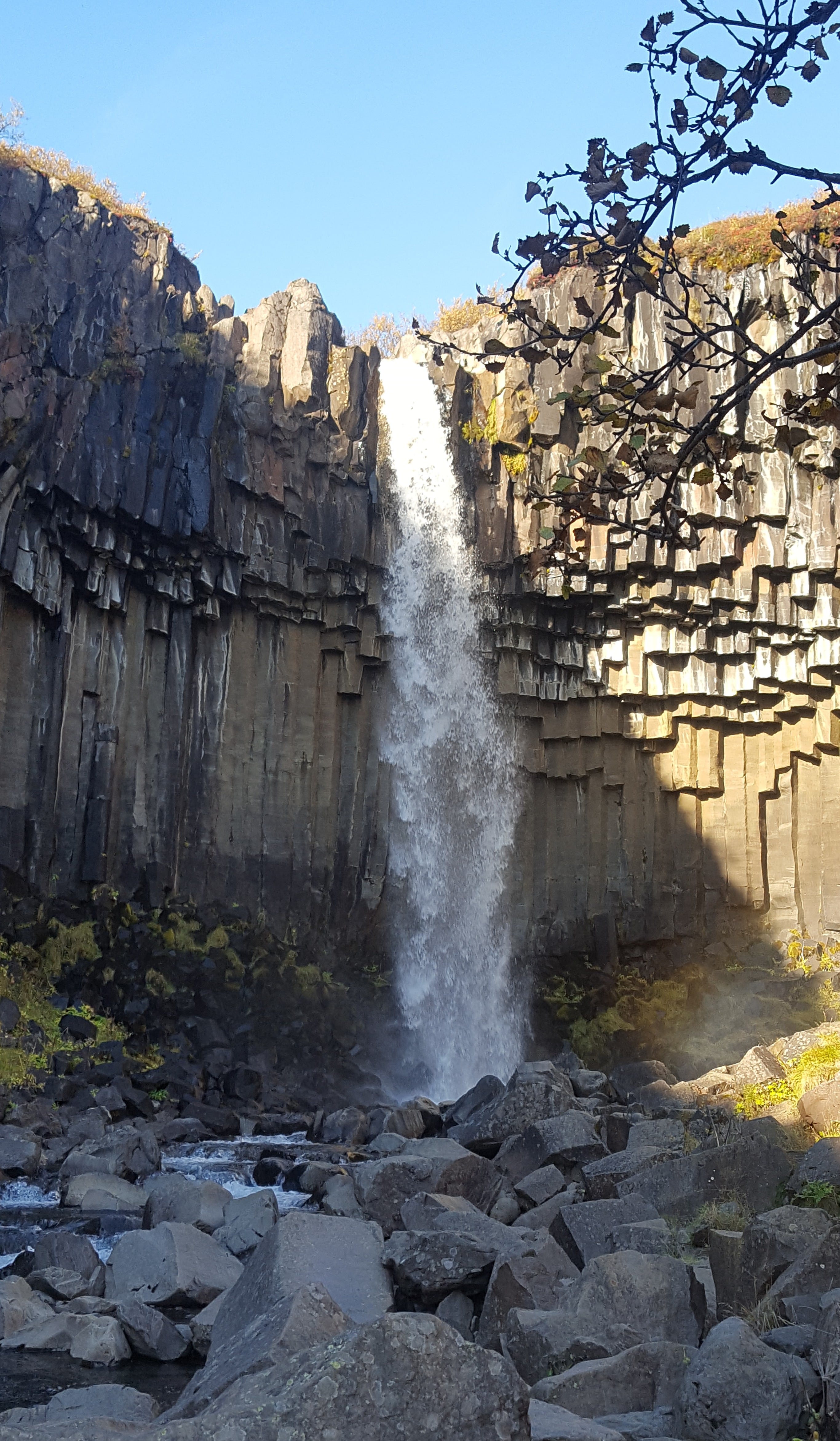 Stunning Svartifoss flows down from black basalt columns.