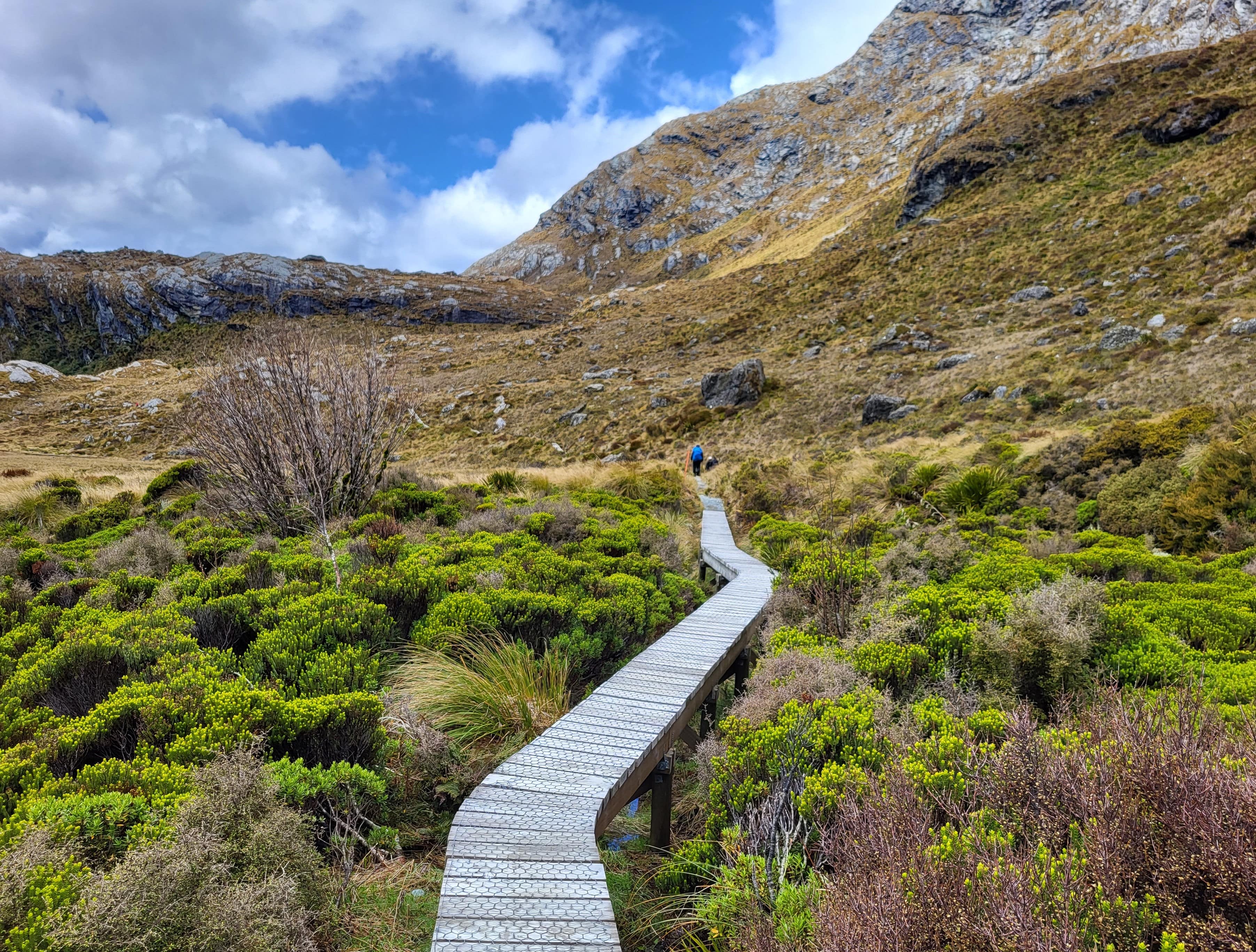 A section of board walk on the Routeburn Track