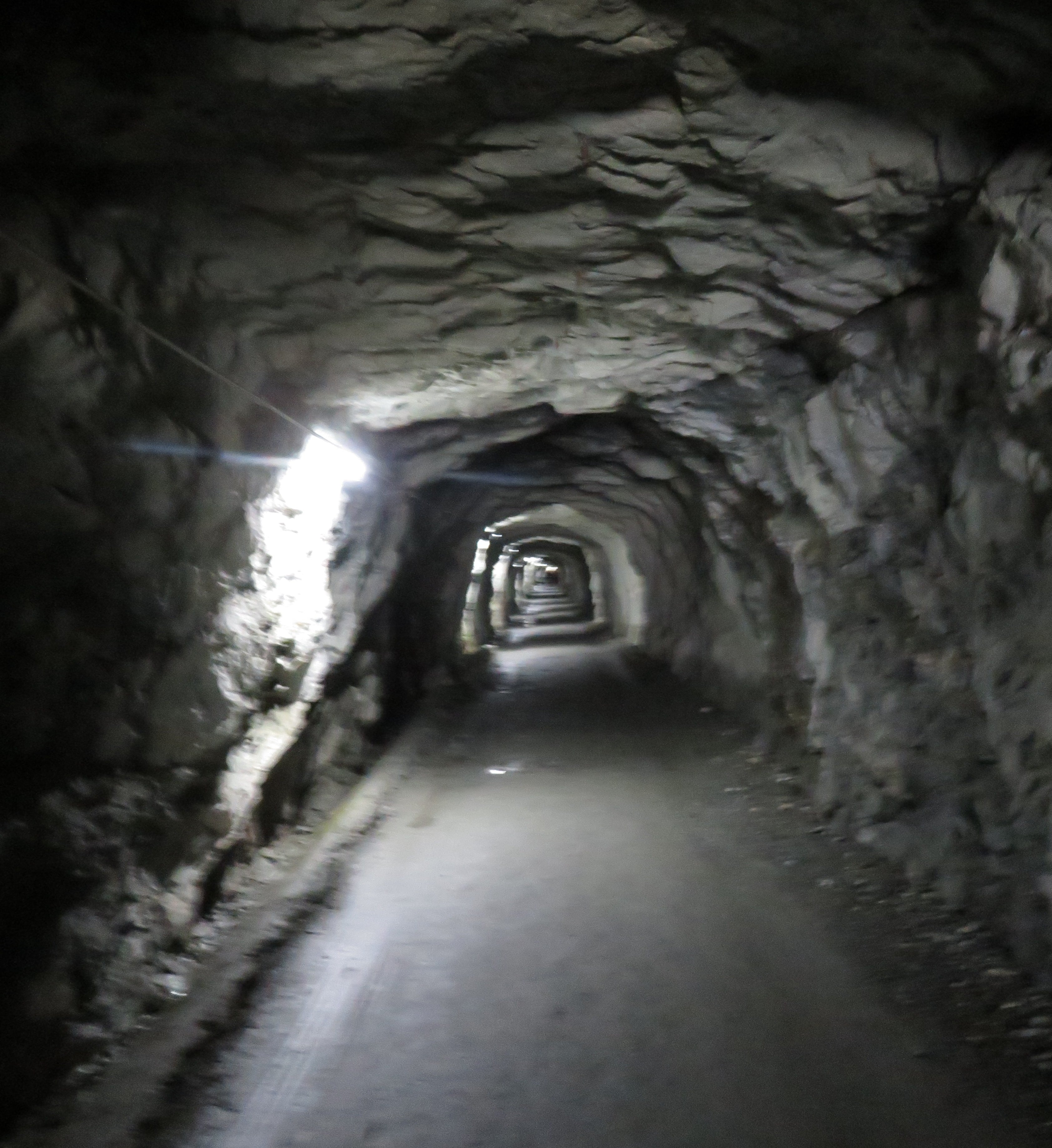The trail passed several tunnels along the lake