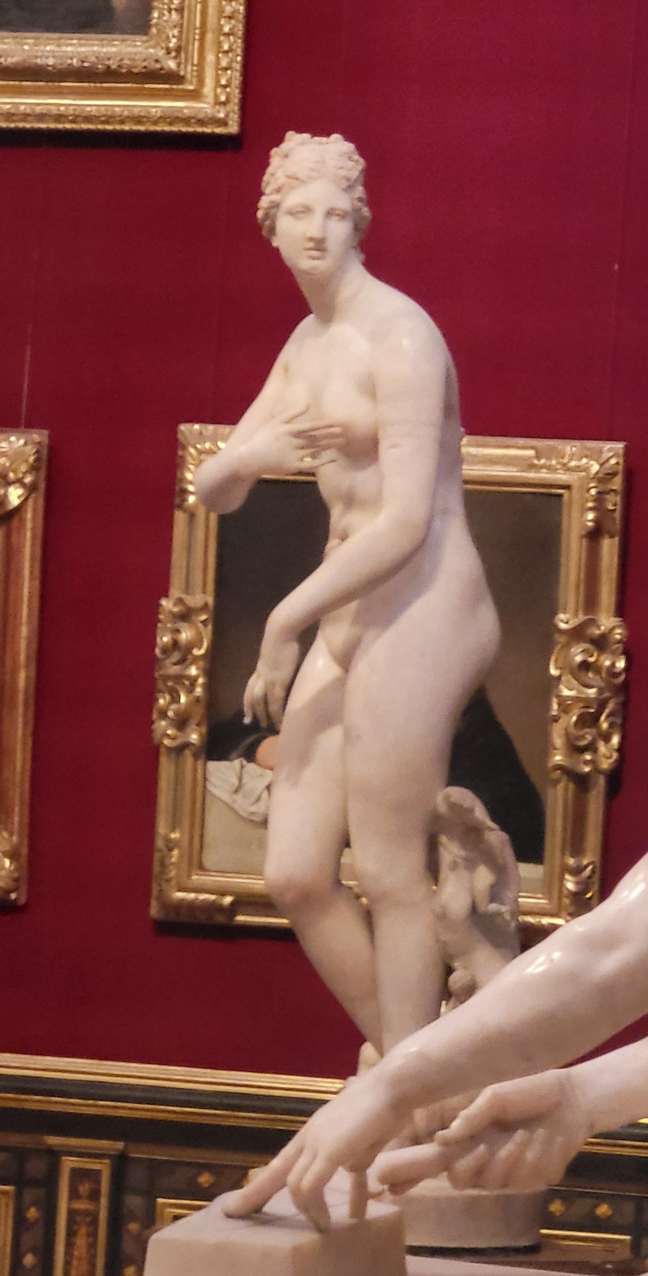 Venus de’ Medici