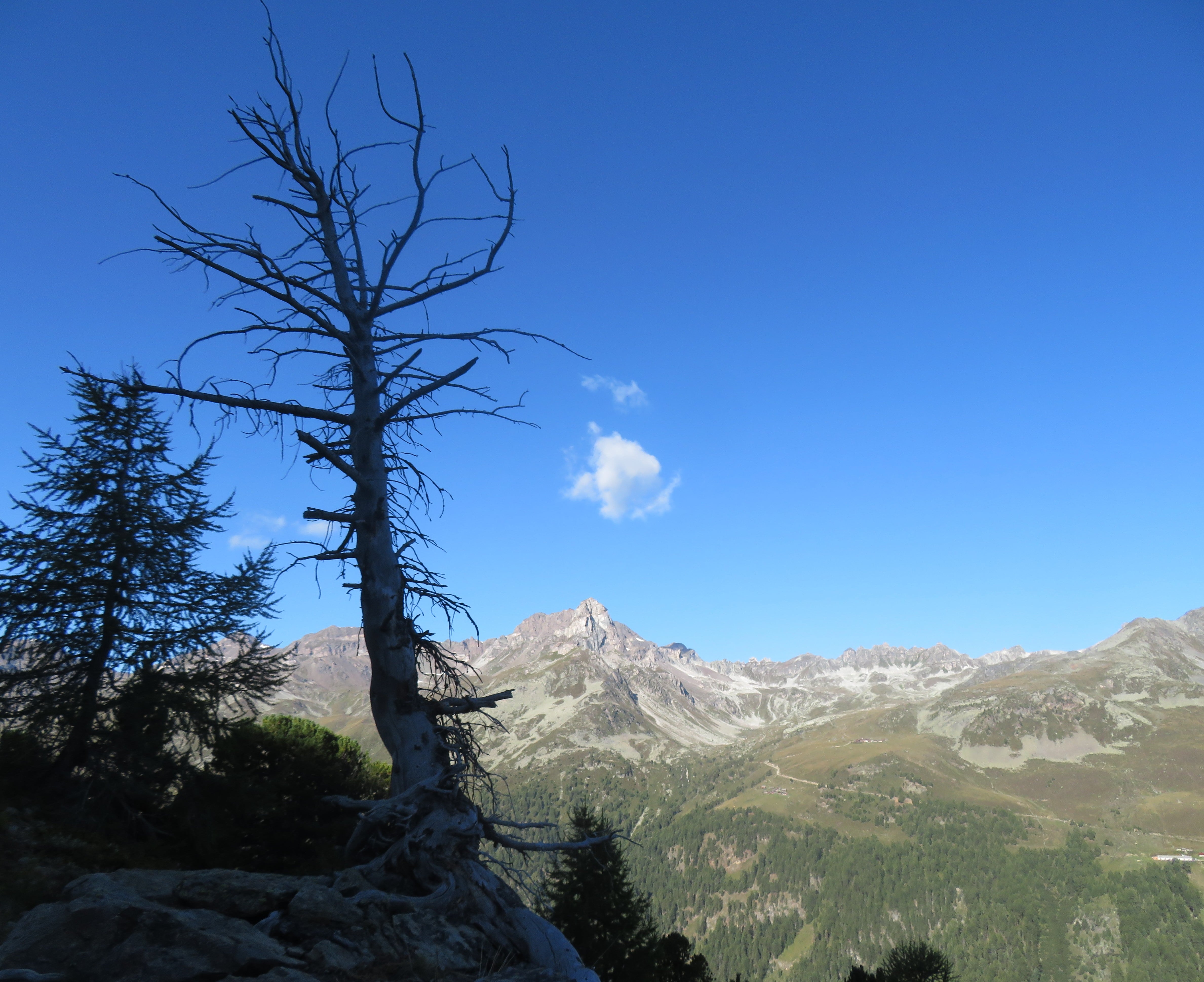 View from a trail above Gruben
