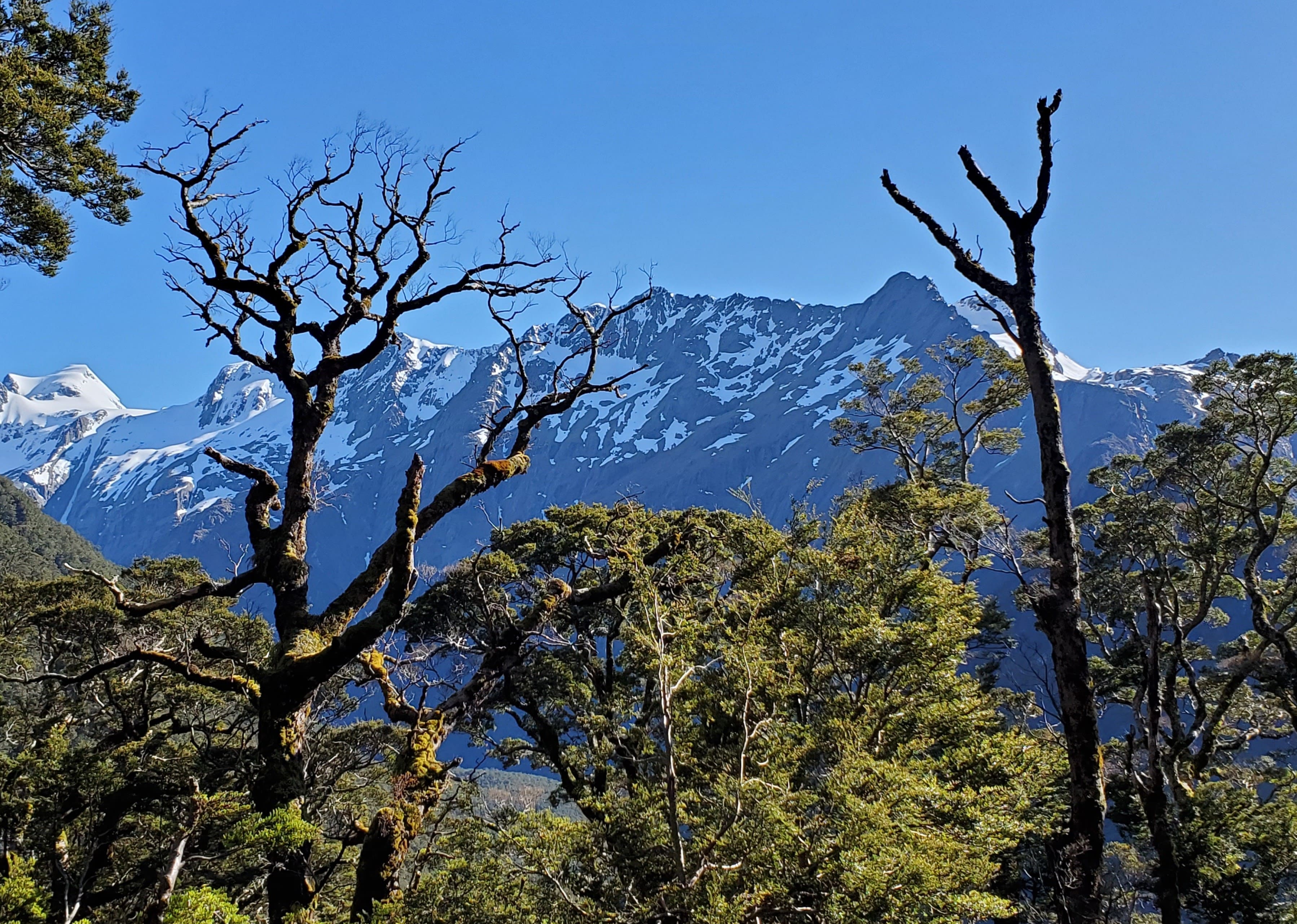 Gorgeous view near the Routeburn Falls in the morning