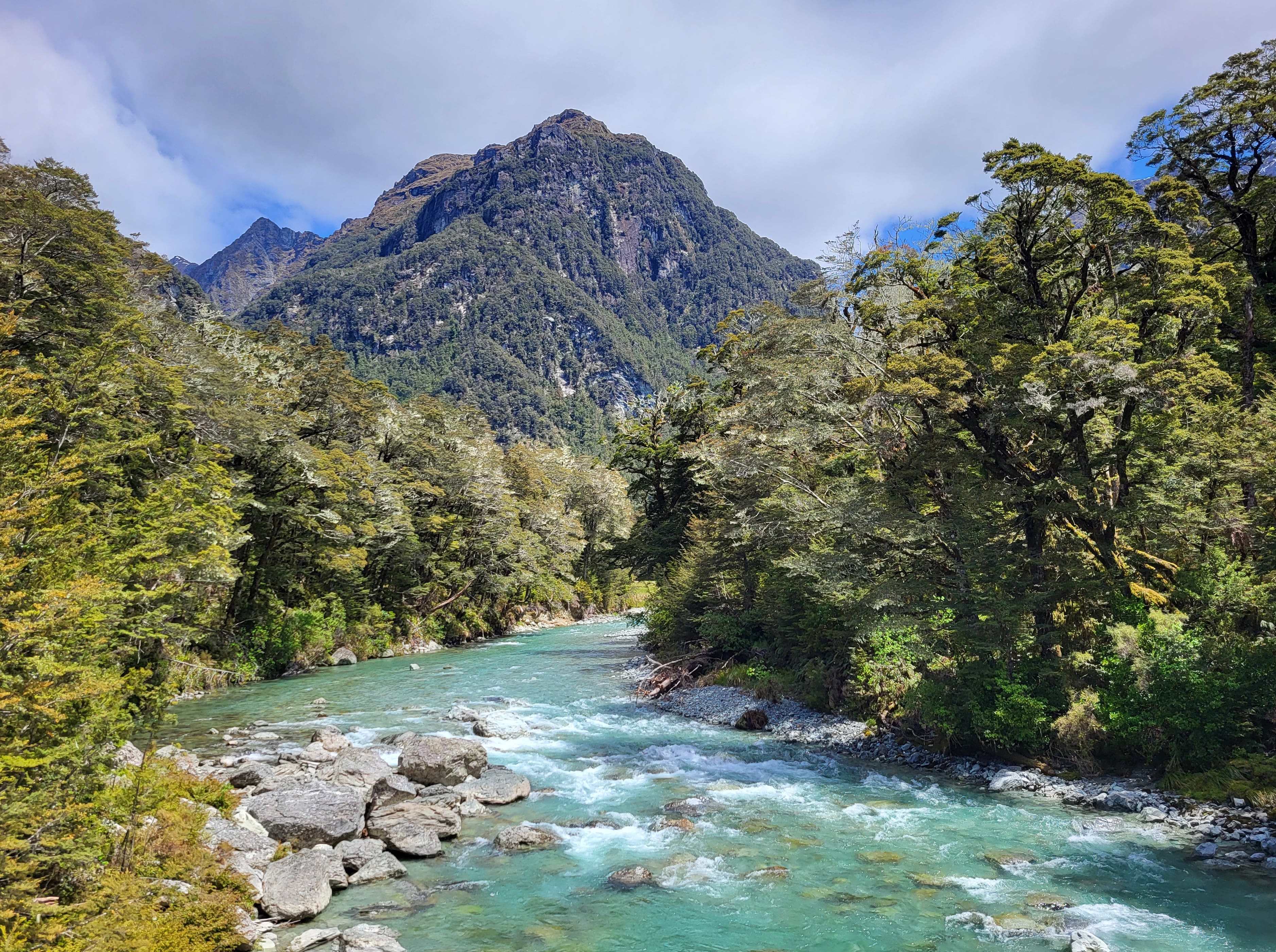 Routeburn Track also involved crossing several rivers on hanging bridges.