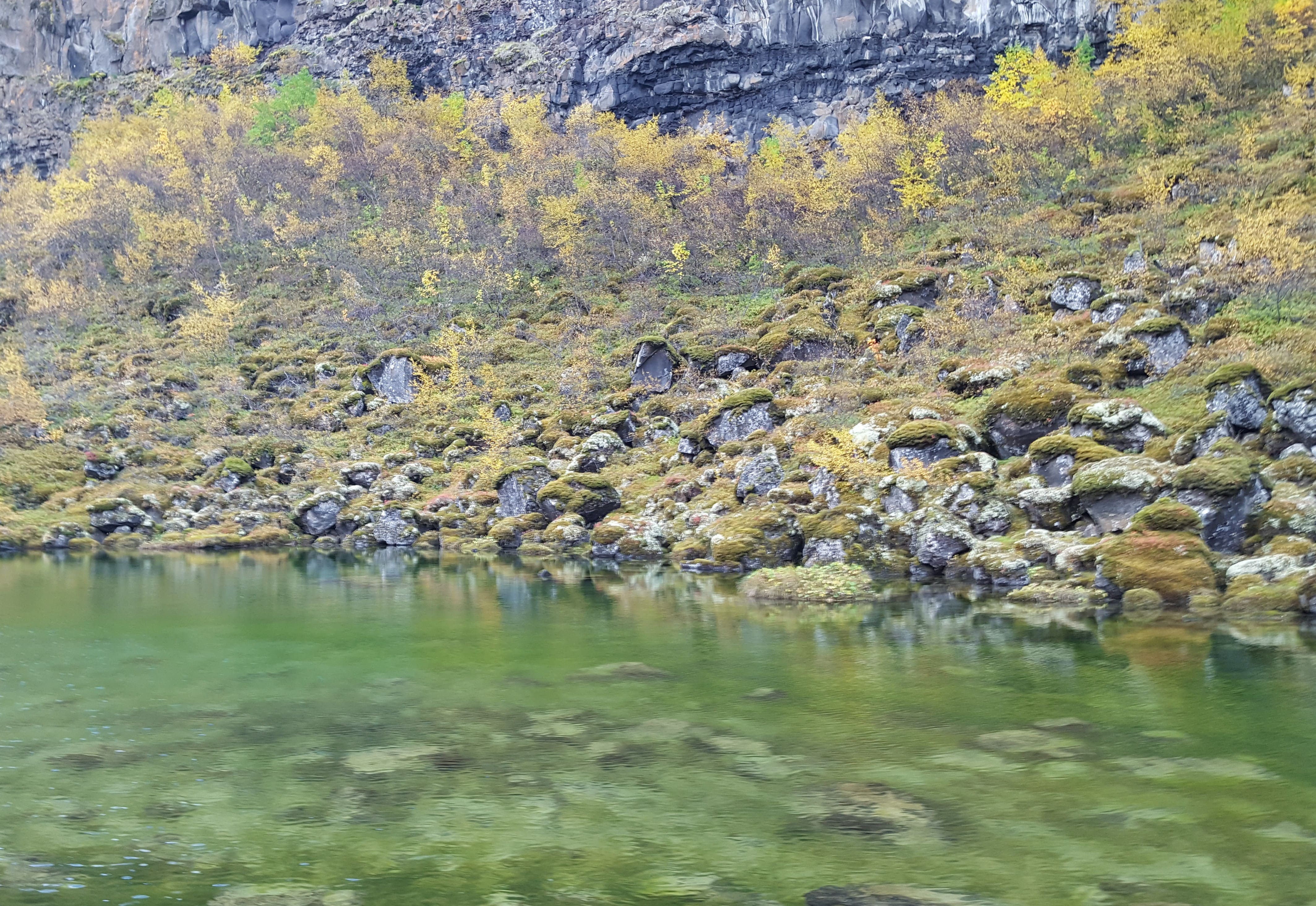 The emerald lake in Asbyrgi Canyon was mesmerizing.