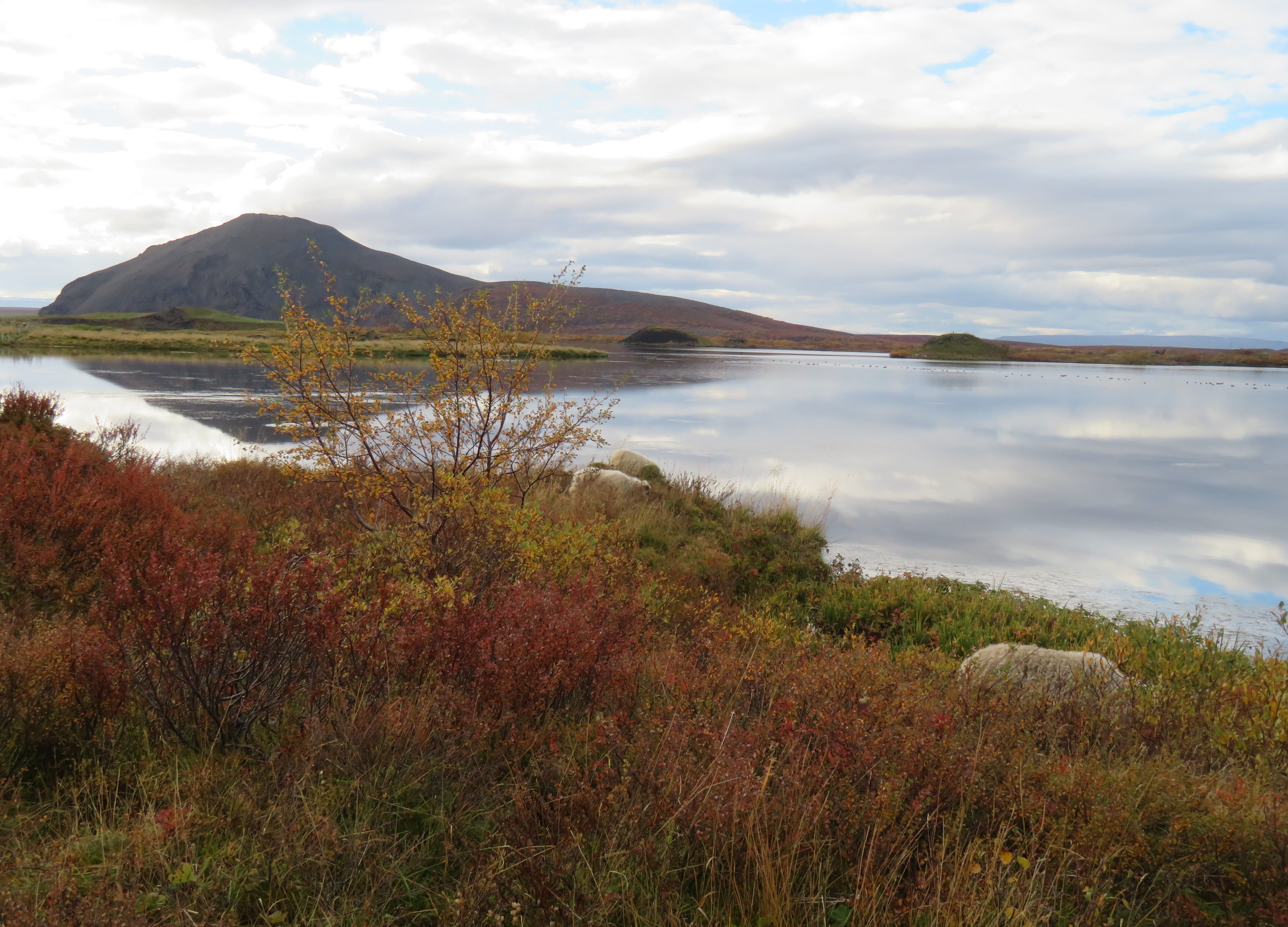 View from outside of the Bird Museum