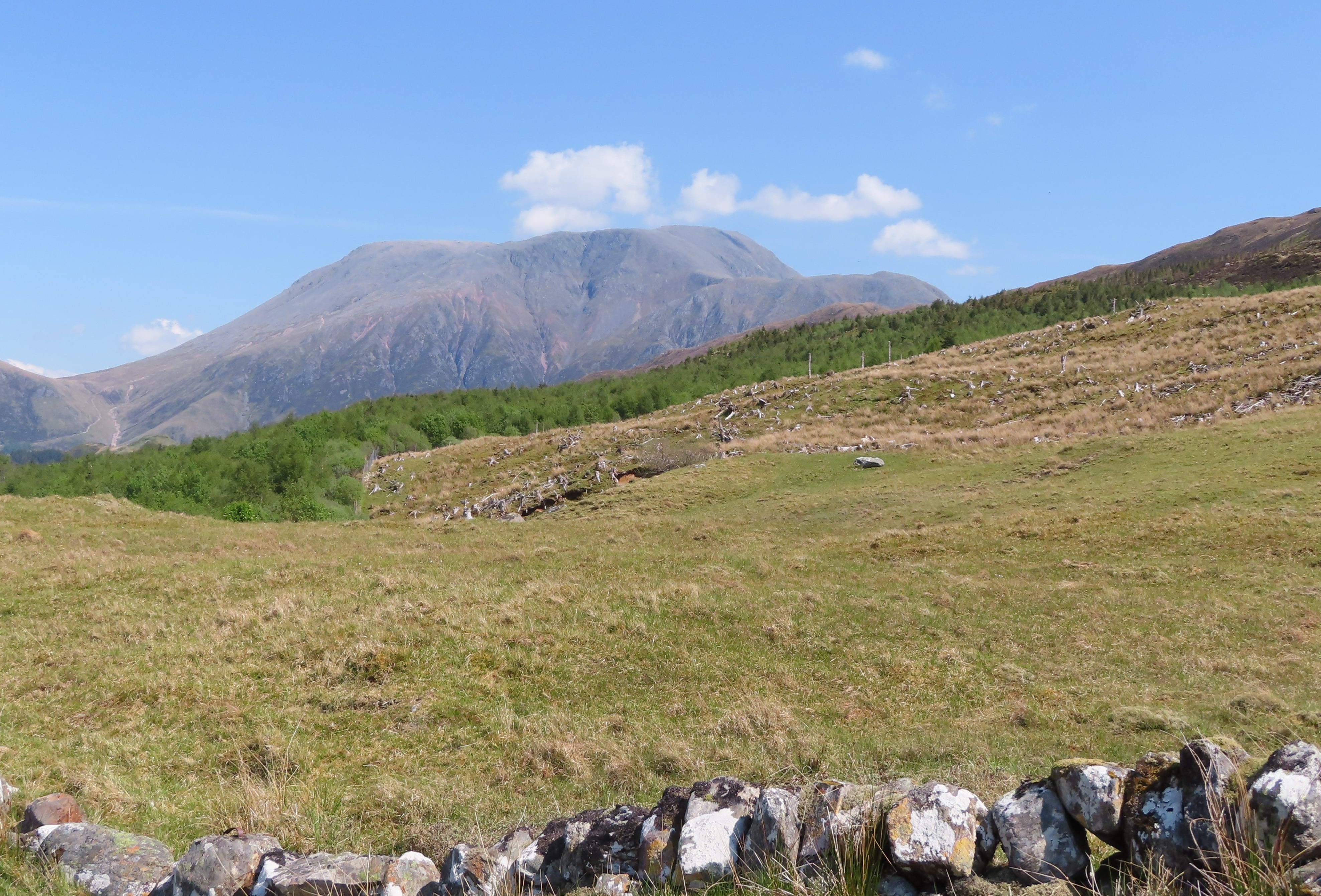 Ben Nevis on the horizon