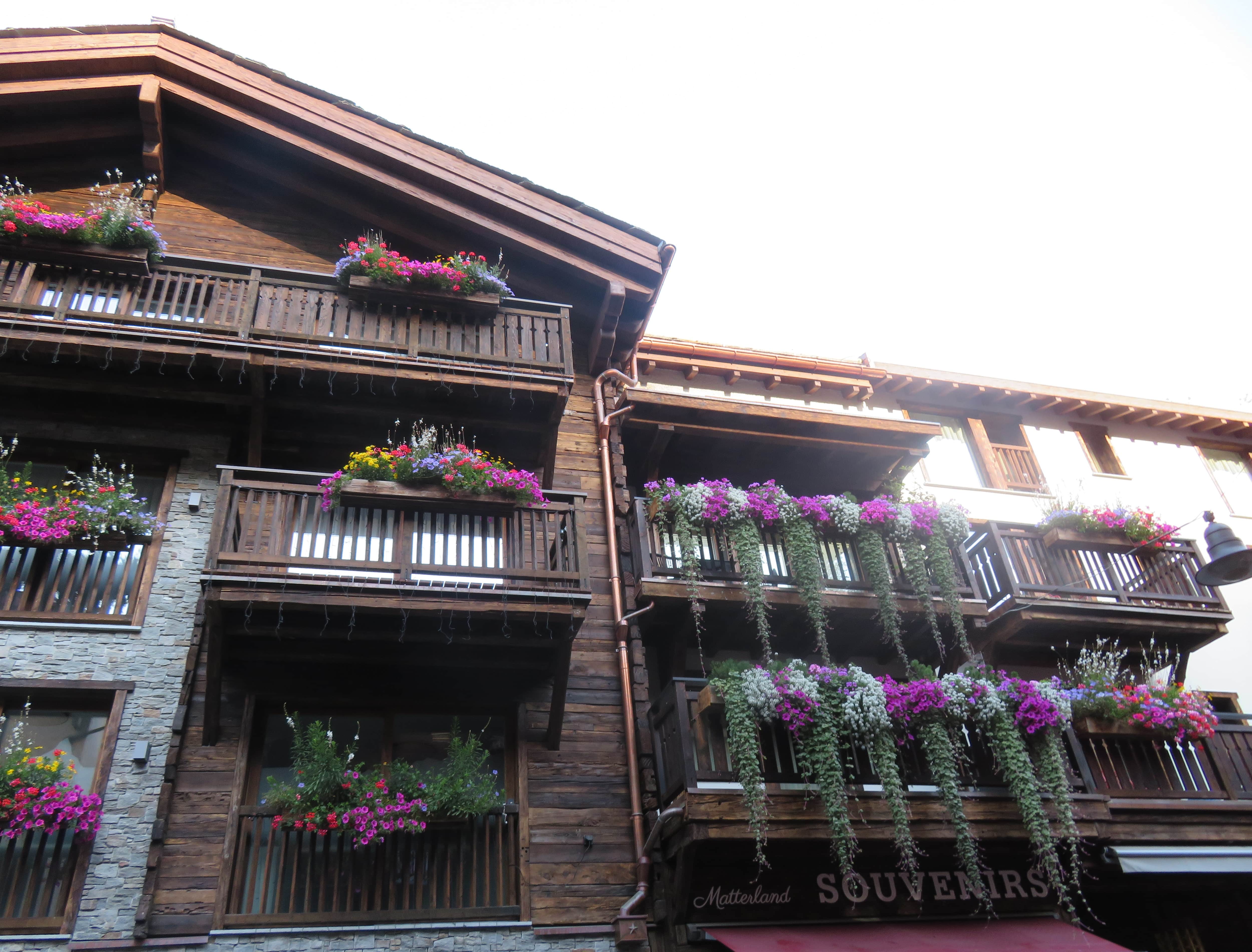 Many houses were decorated with colorful flowers in the front.