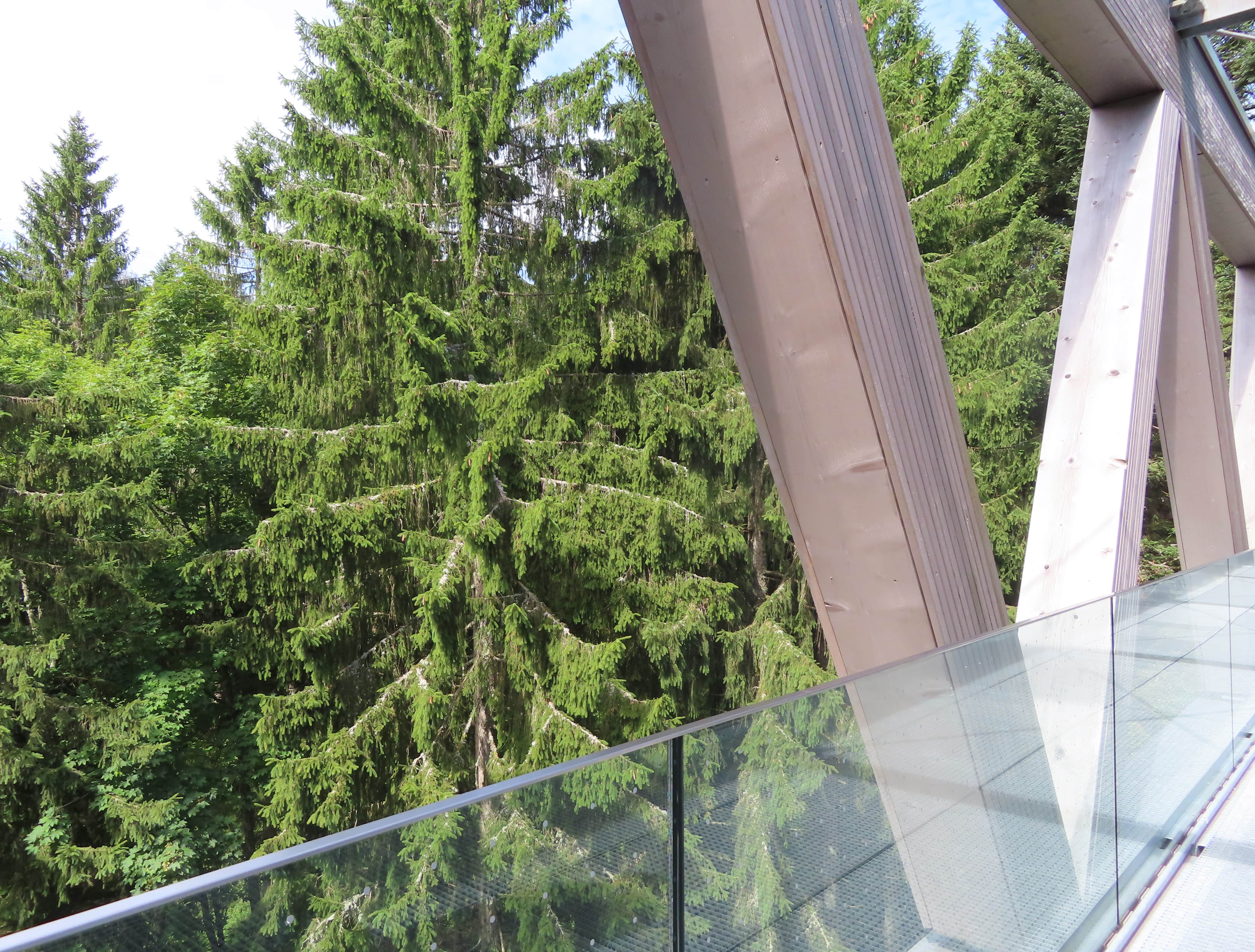 Black Forest Skywalk