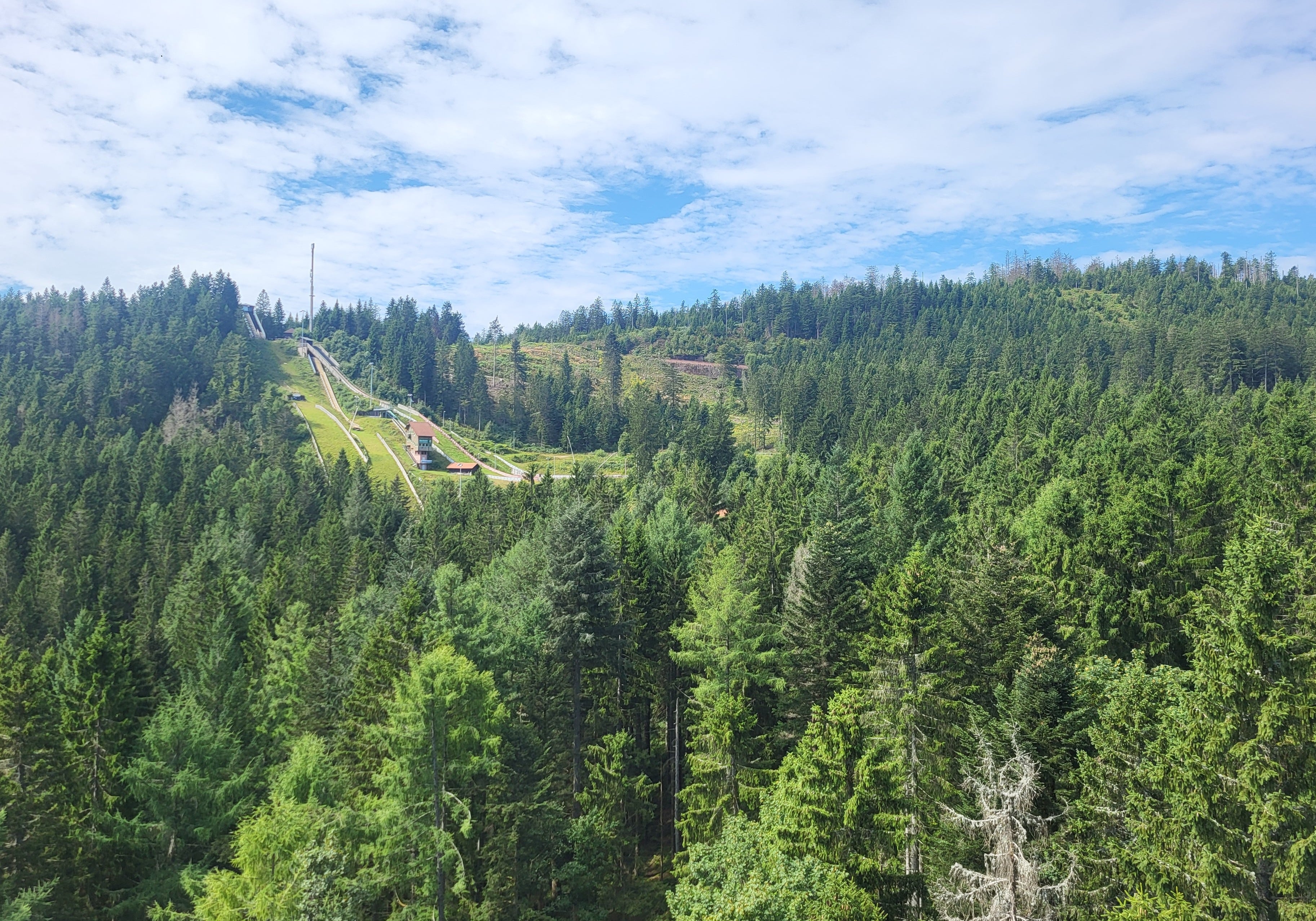 Black Forest view from the tower