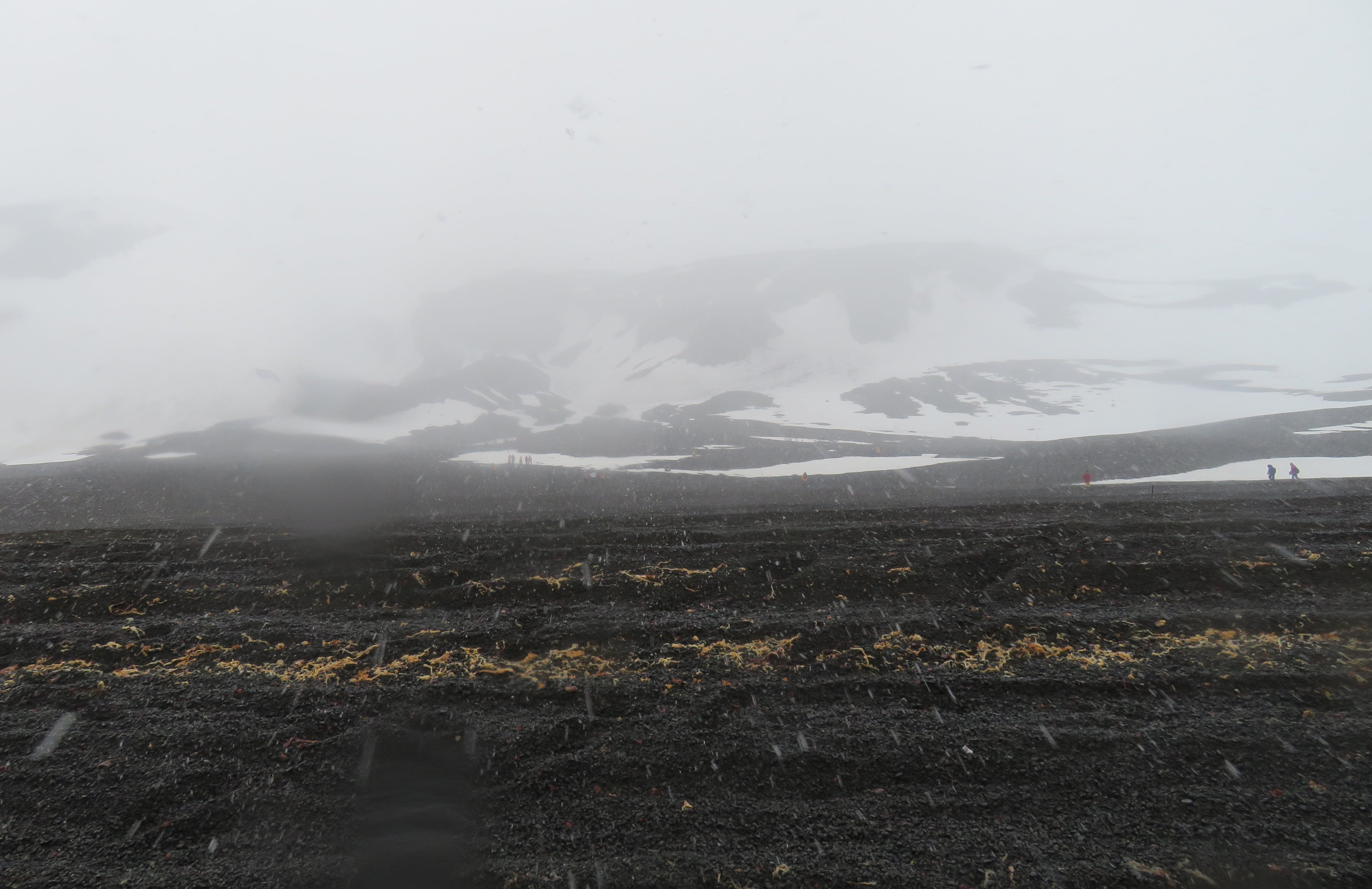 The blizzard gave us a "true" Antarctic experience.