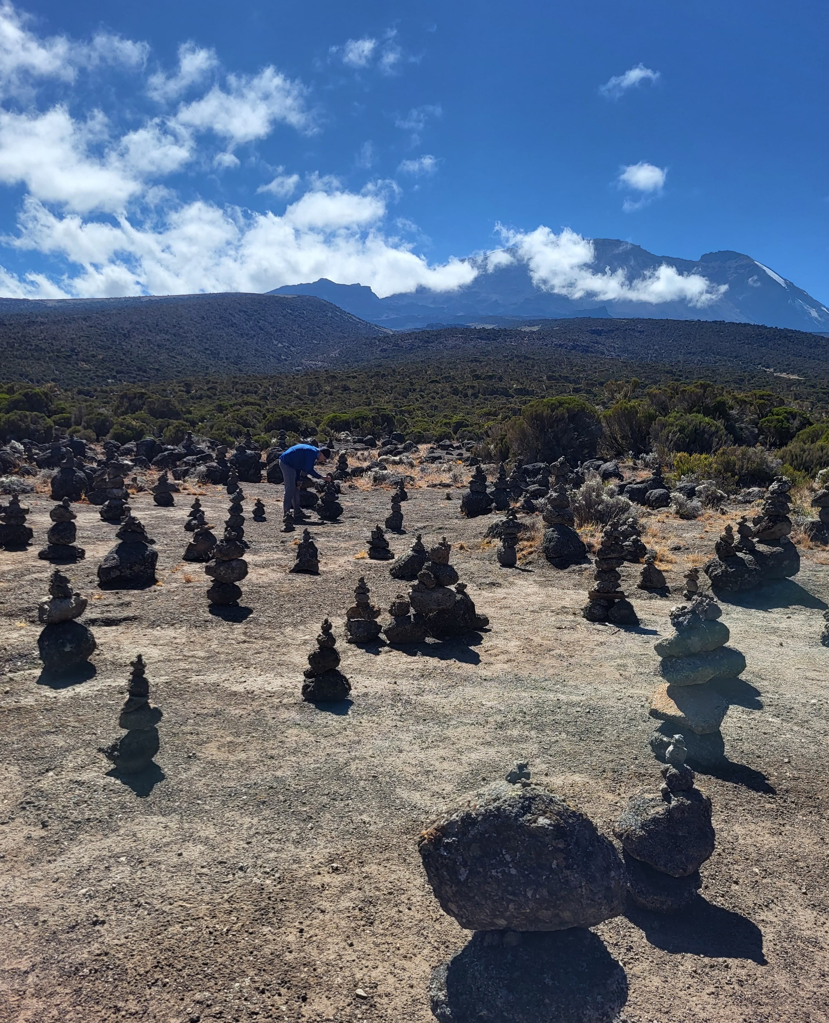 Field of Cairns