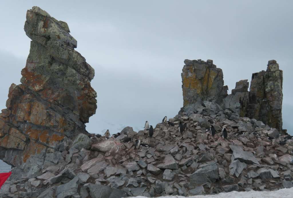 Half Moon Island and penguins