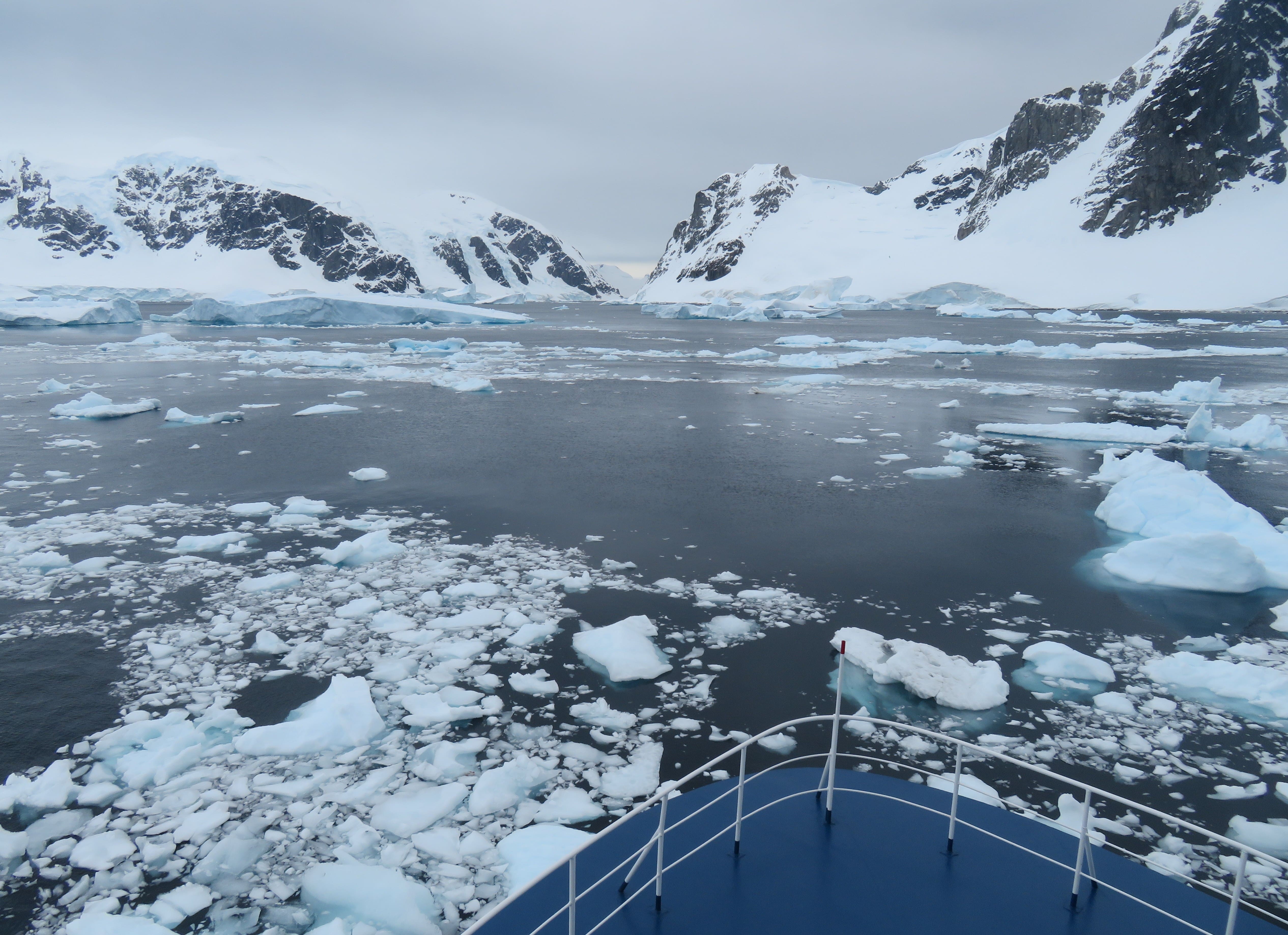 Ocean Nova sailed through loose ice patches.