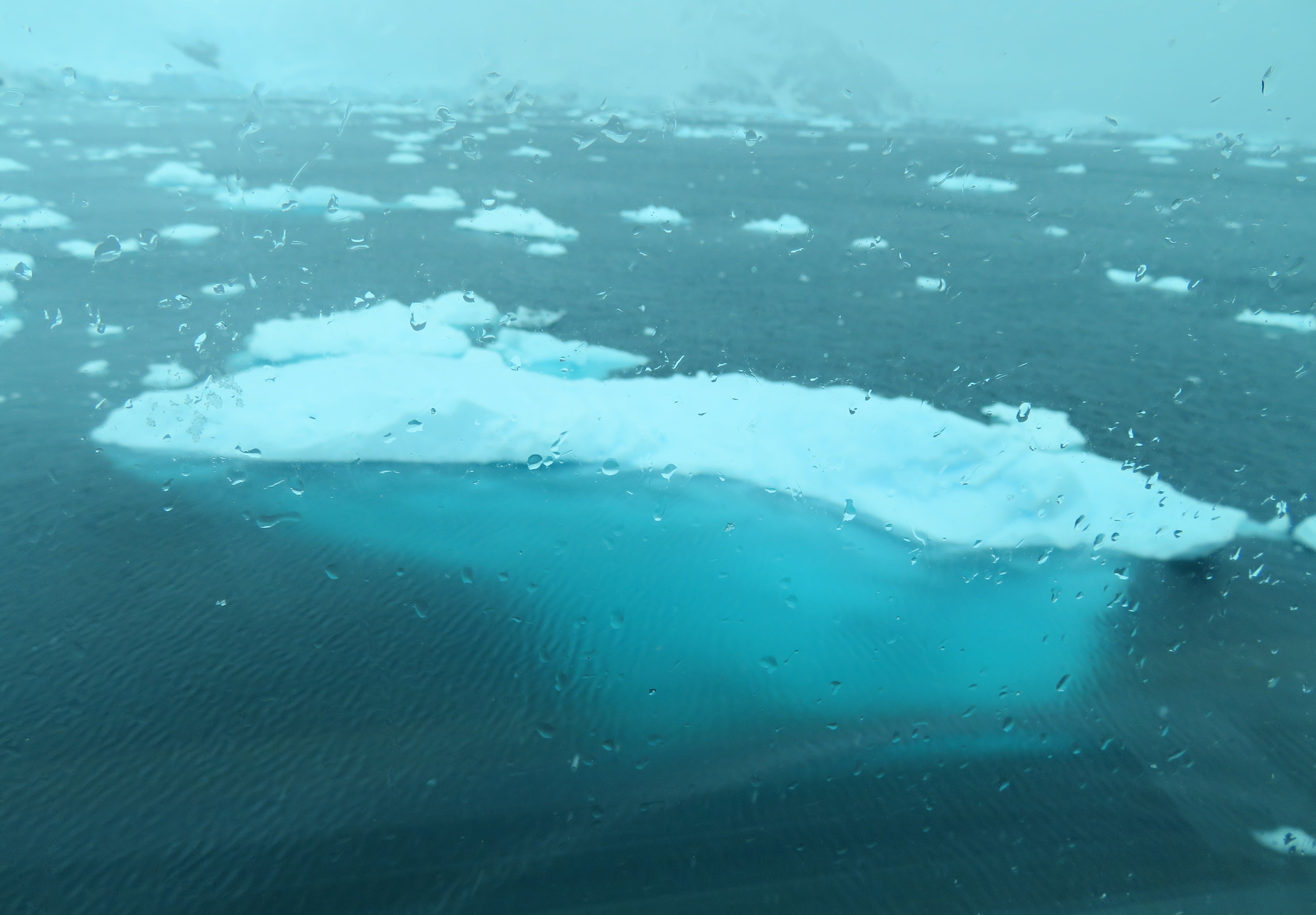 Beautiful blue iceberg