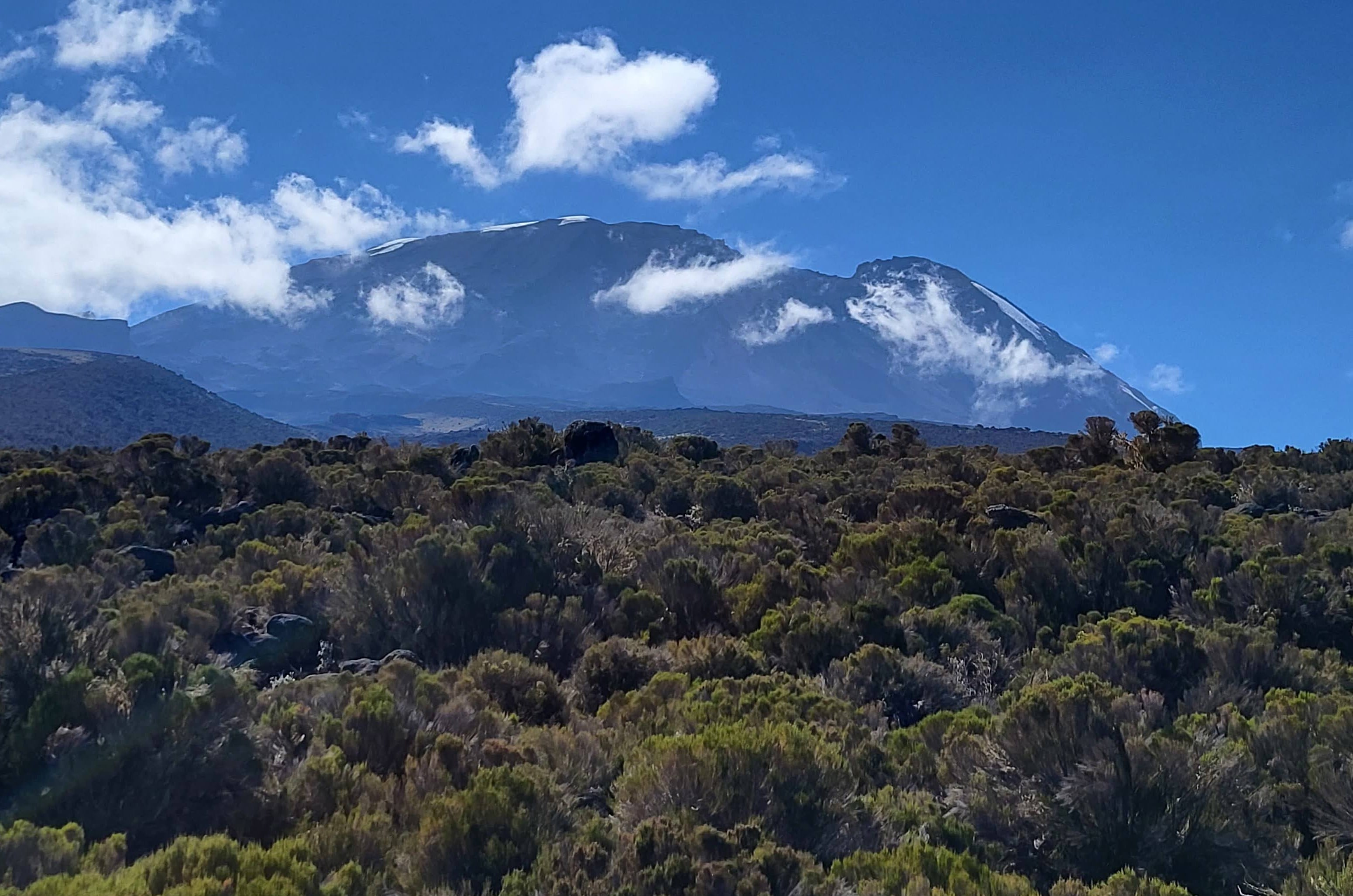 Mount Kilimanjaro in the morning light