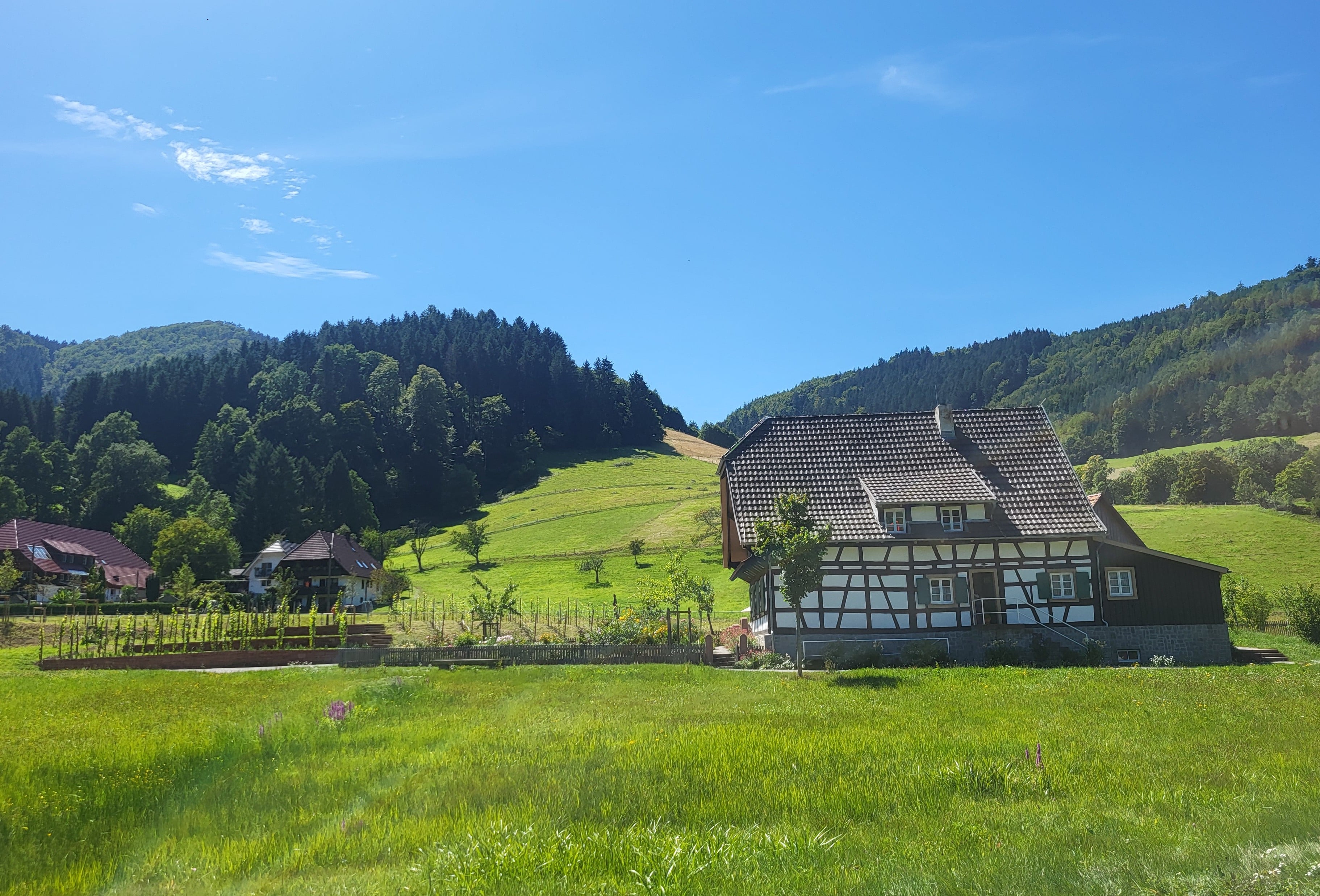 Inside Black Forest Open Air Museum