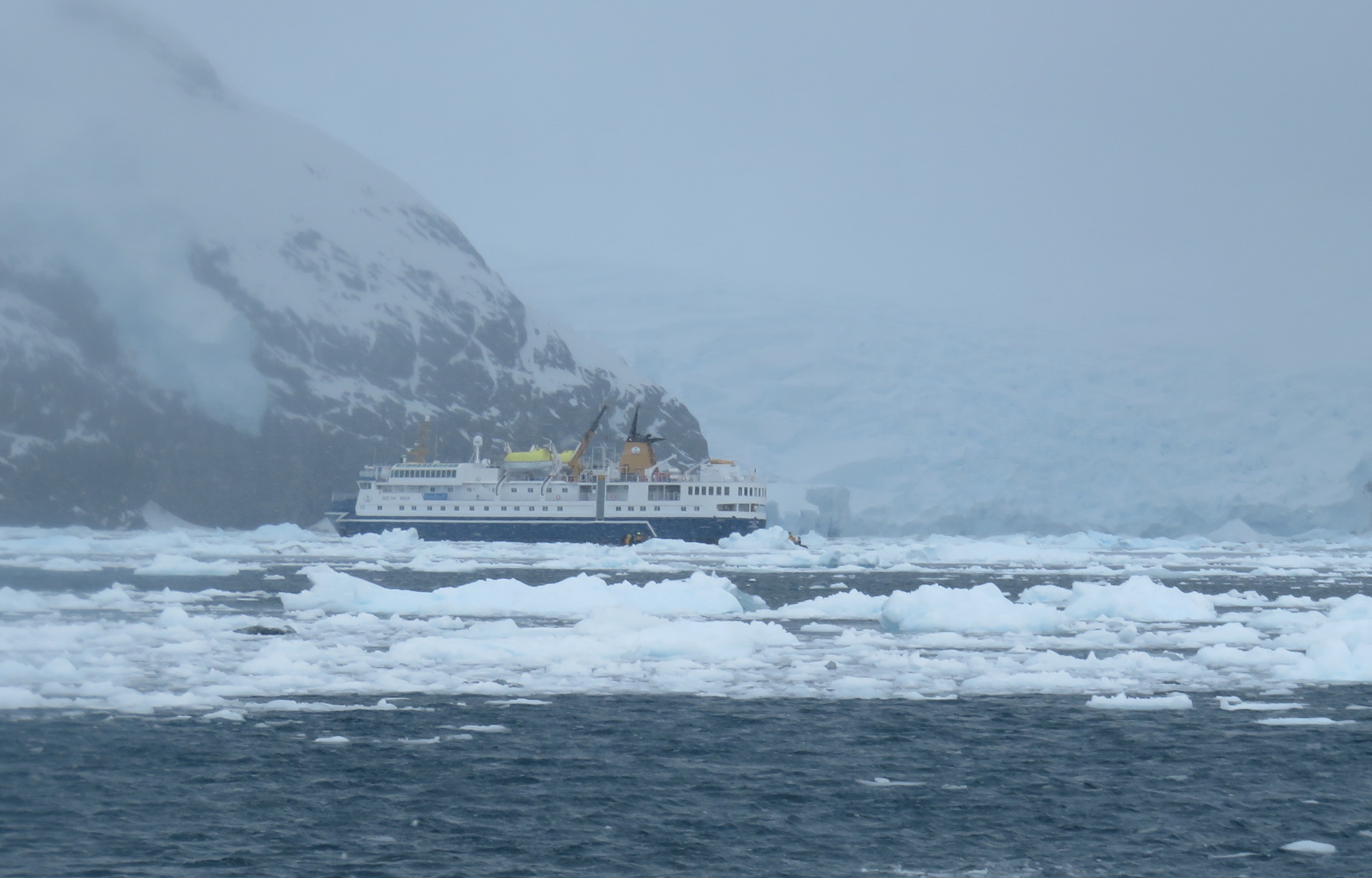 I took a picture of Ocean Nova from the Zodiac boat.