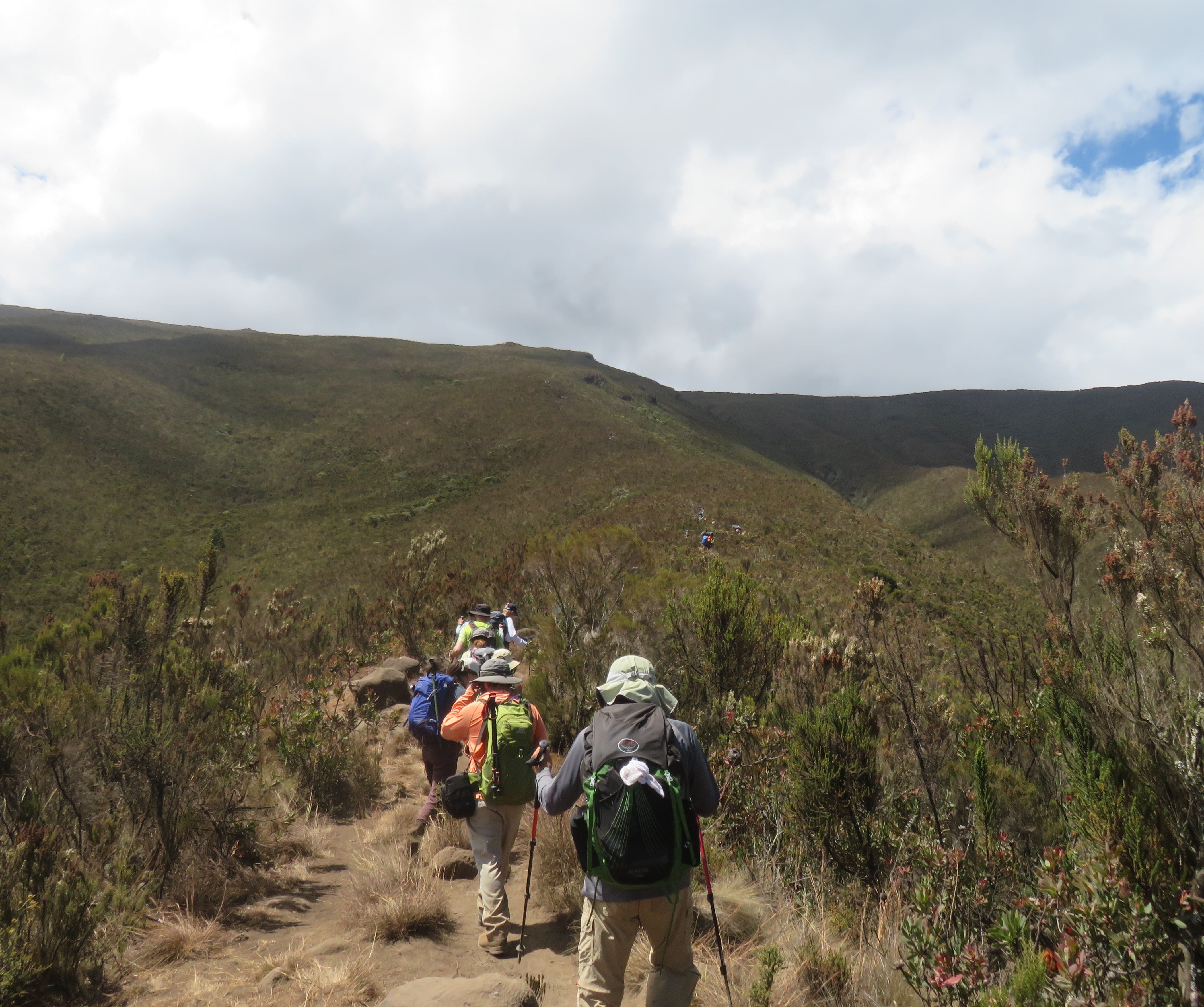 We went "pole pole" on the trail.