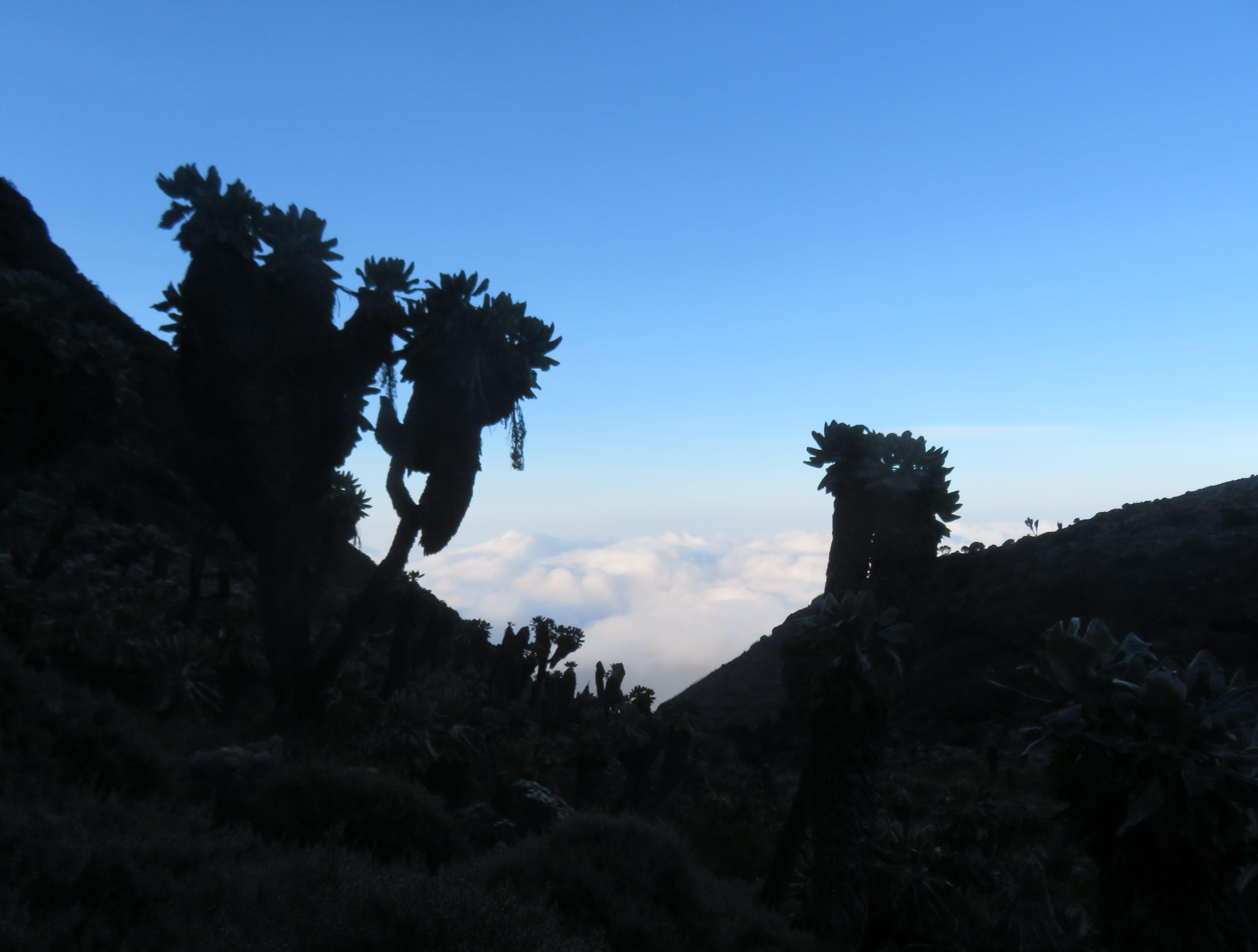 Great view seen from the climb