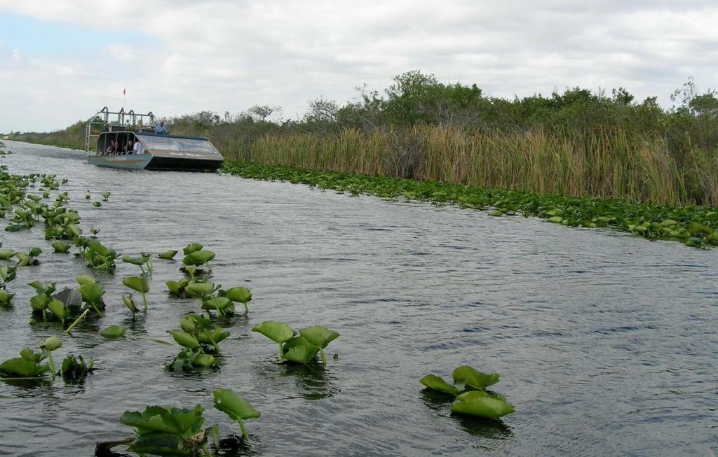 Airboat ride