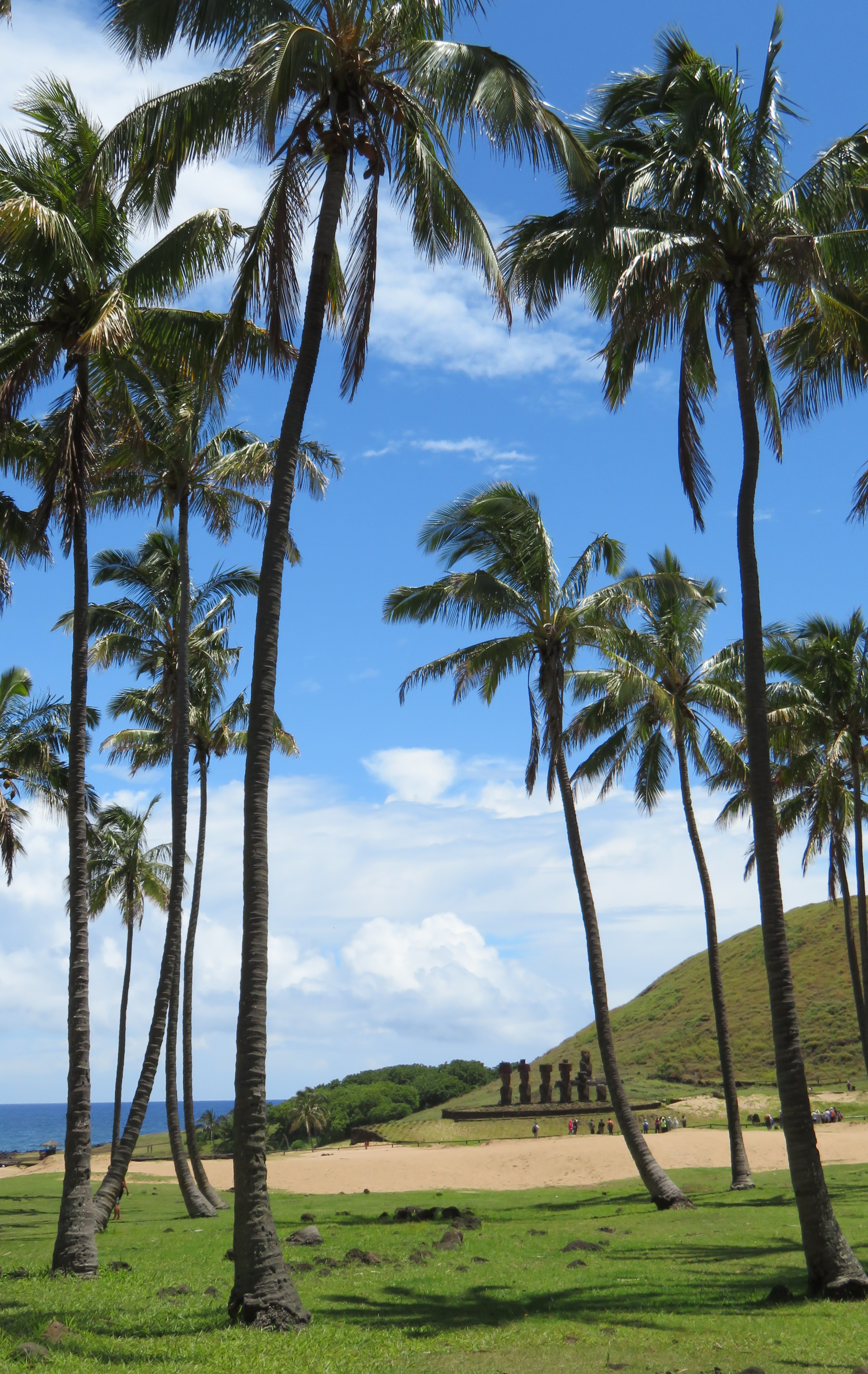 Anakena is near a beach with palm trees.
