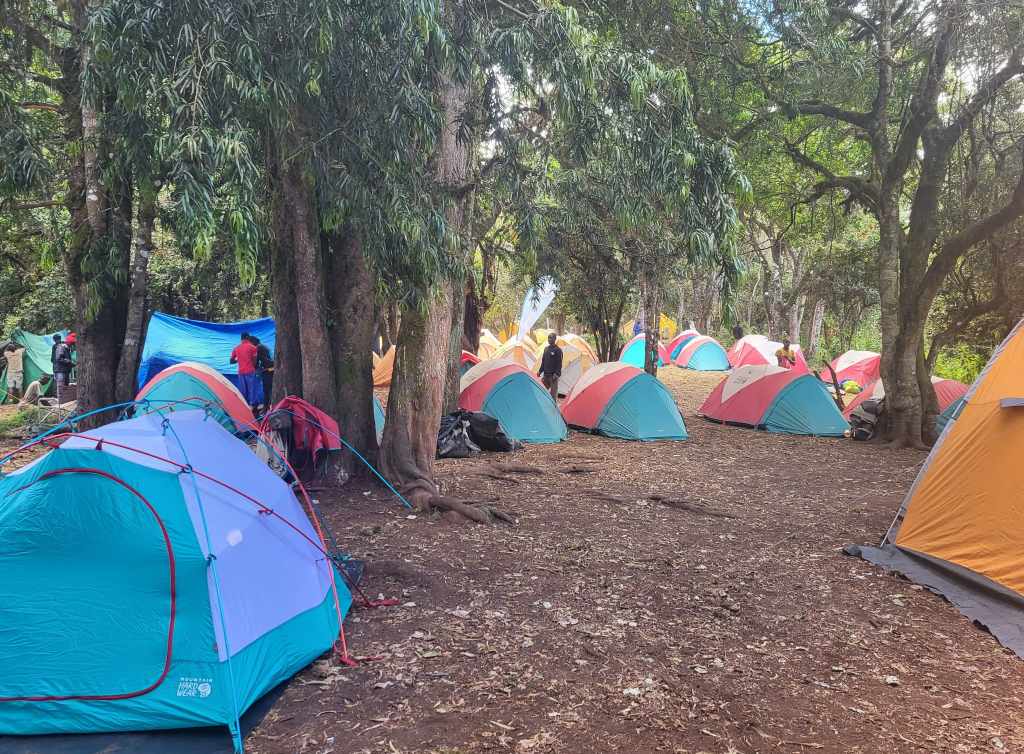 Many tents at the campground