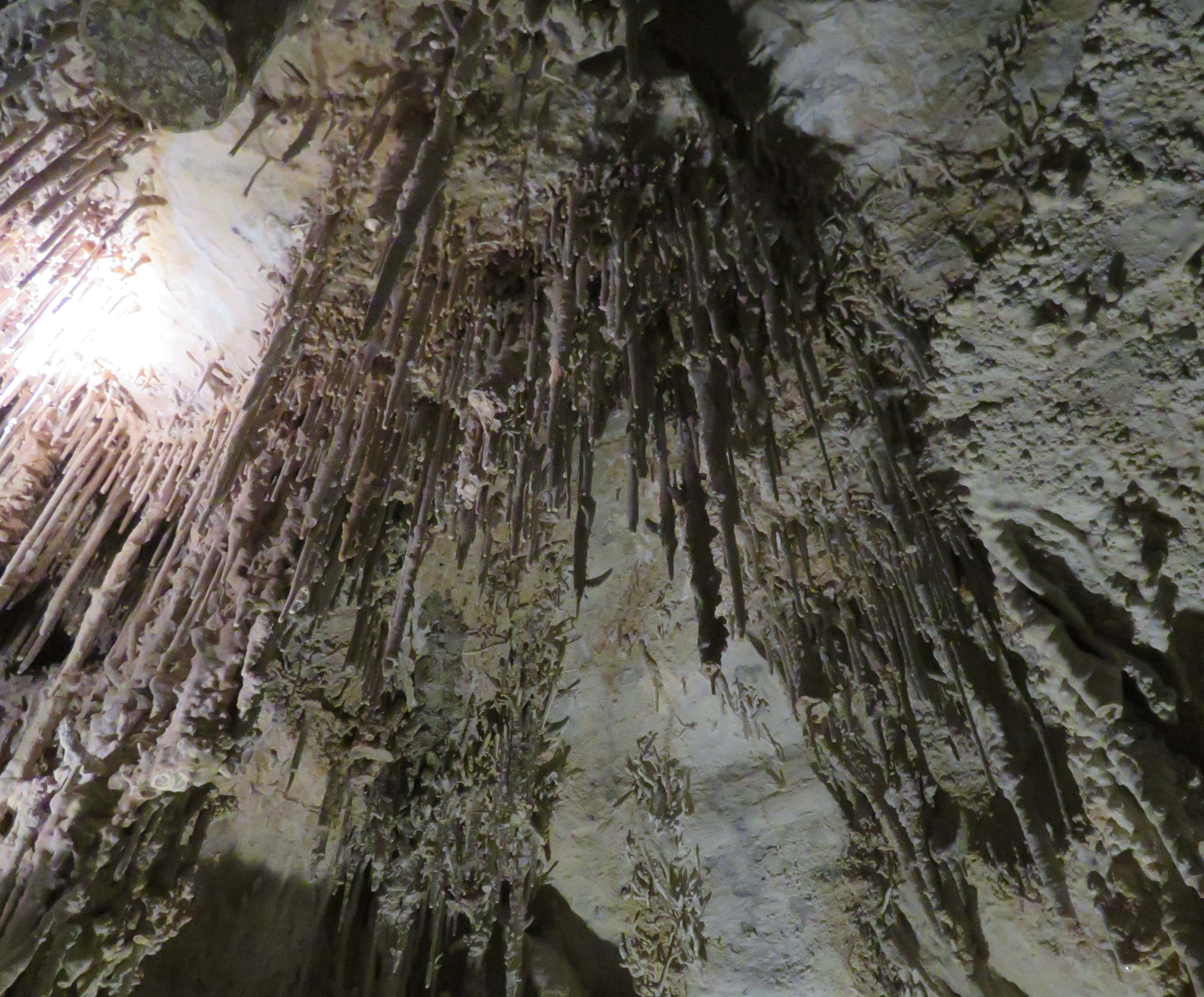 Inside Lehman Cave