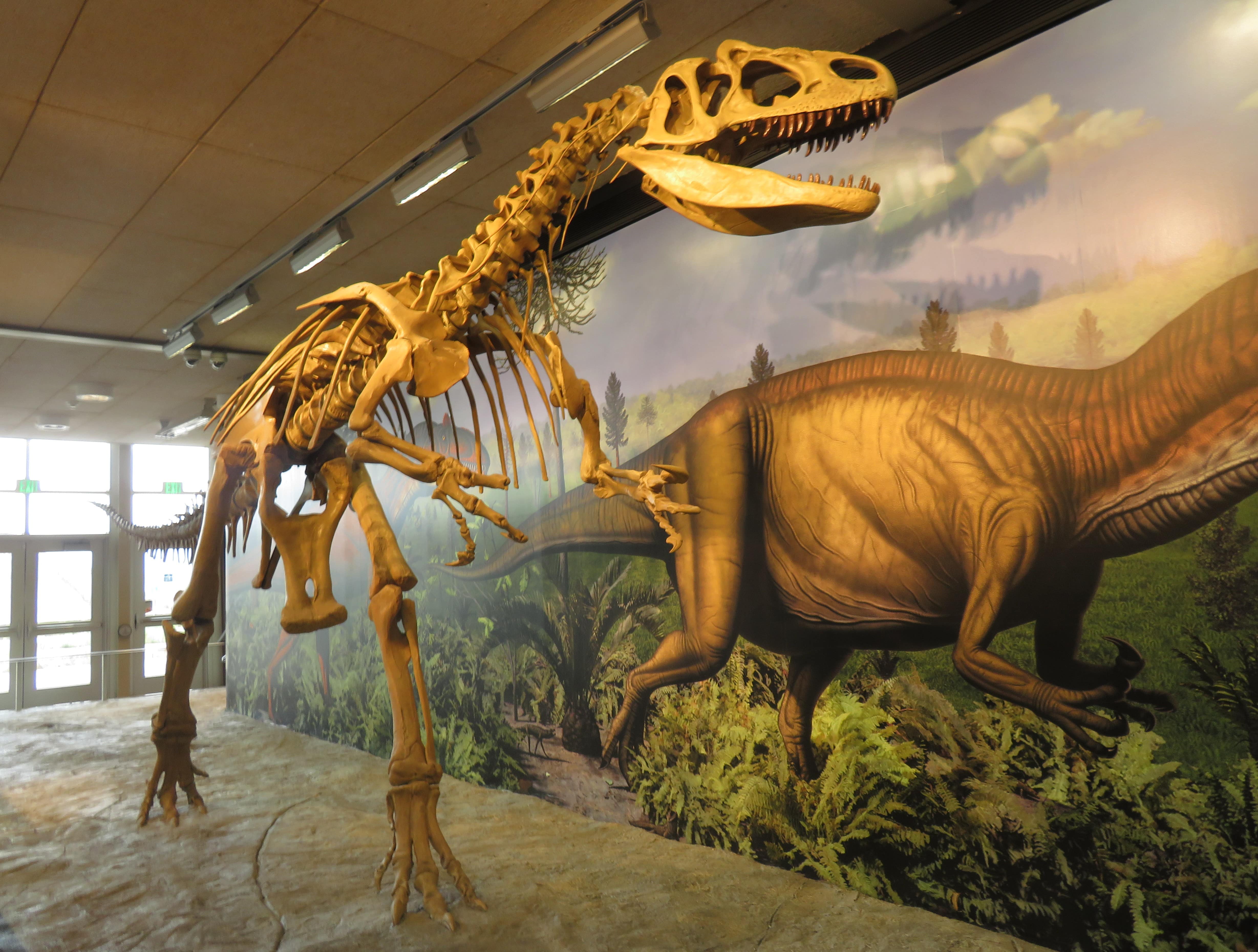 Dinosaur Exhibition
