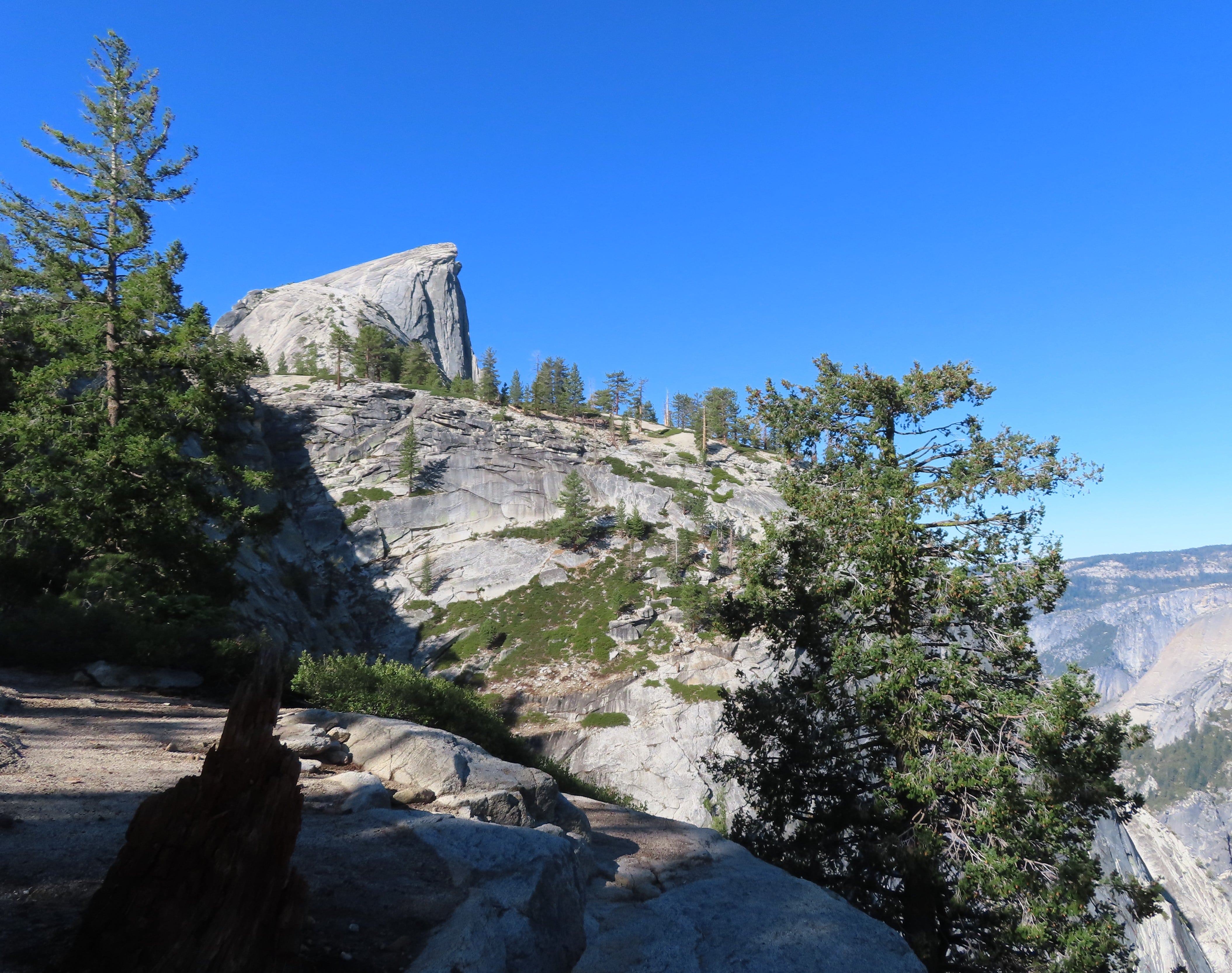 Half Dome viewed from trail