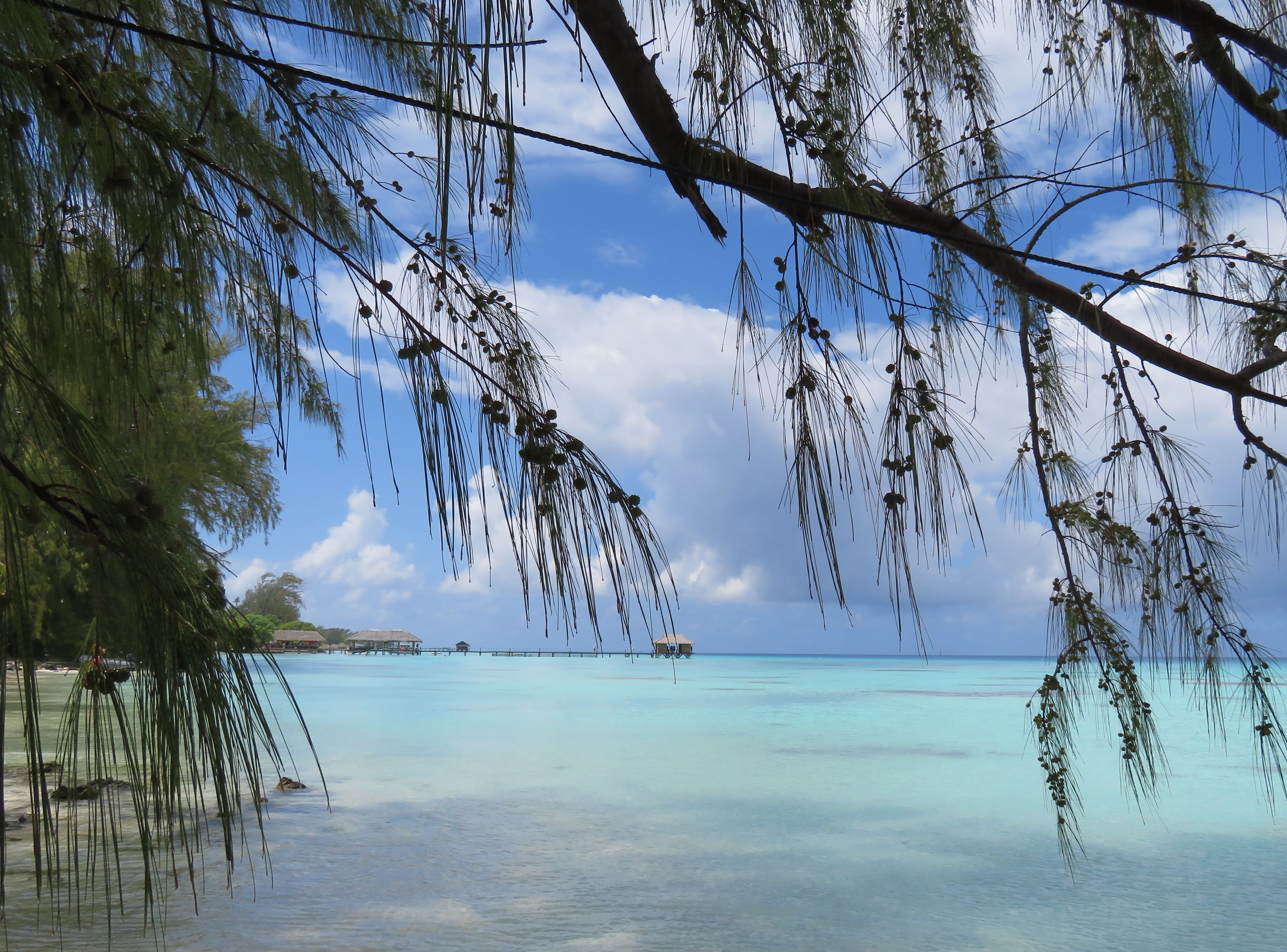 Pristine Fakarava Beach