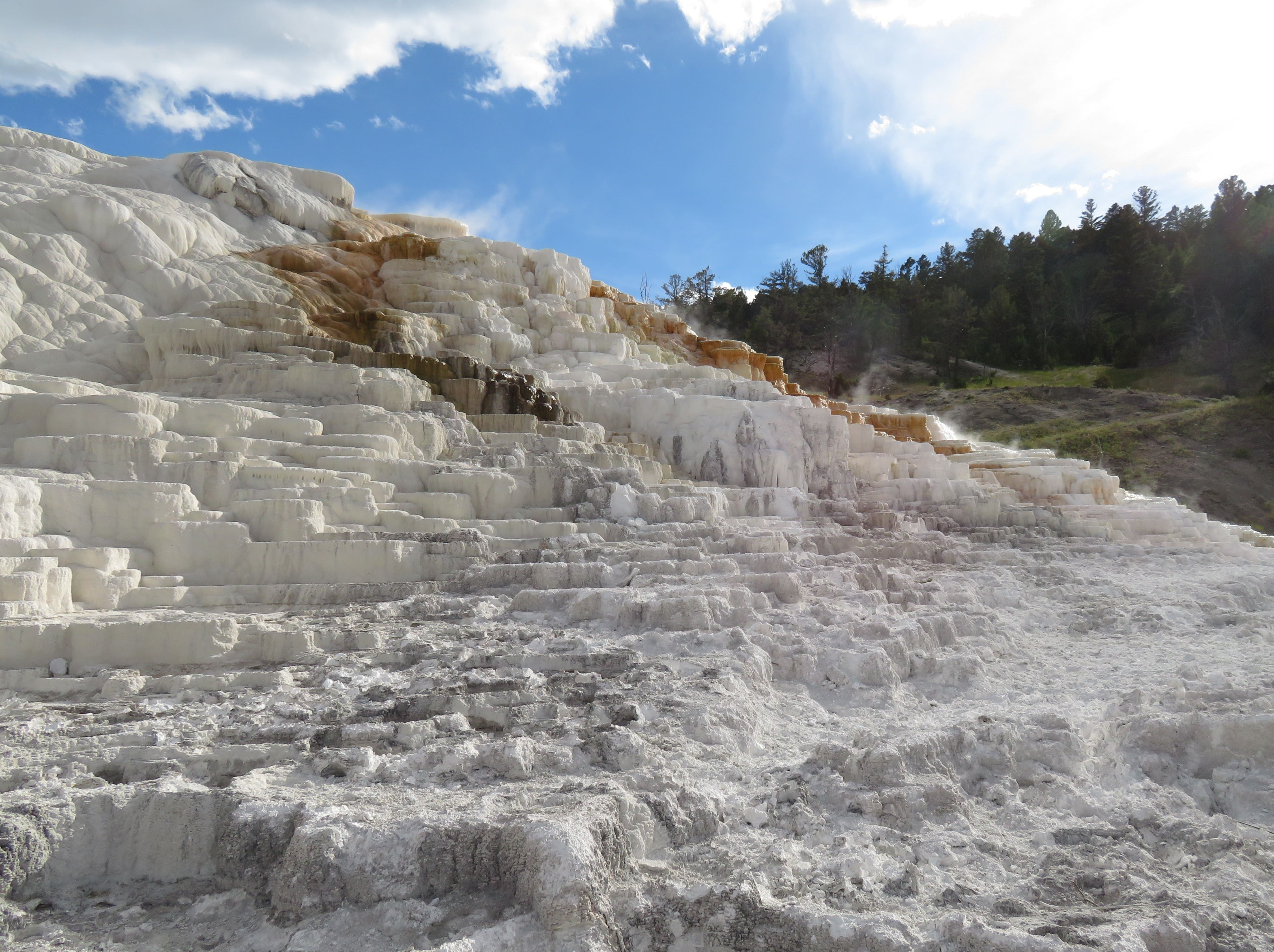 Mammoth Hot Springs