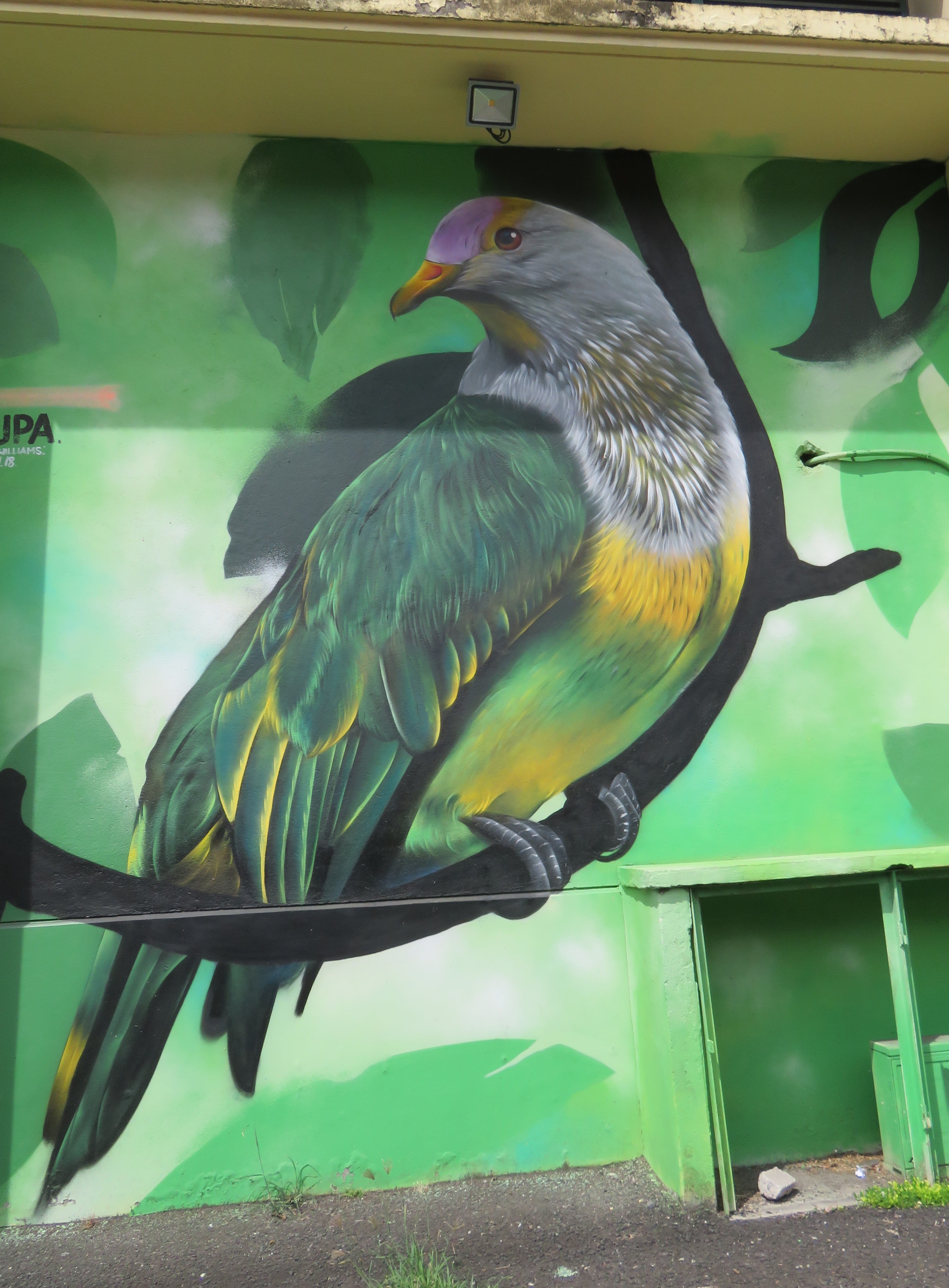 Mural painting of a bird