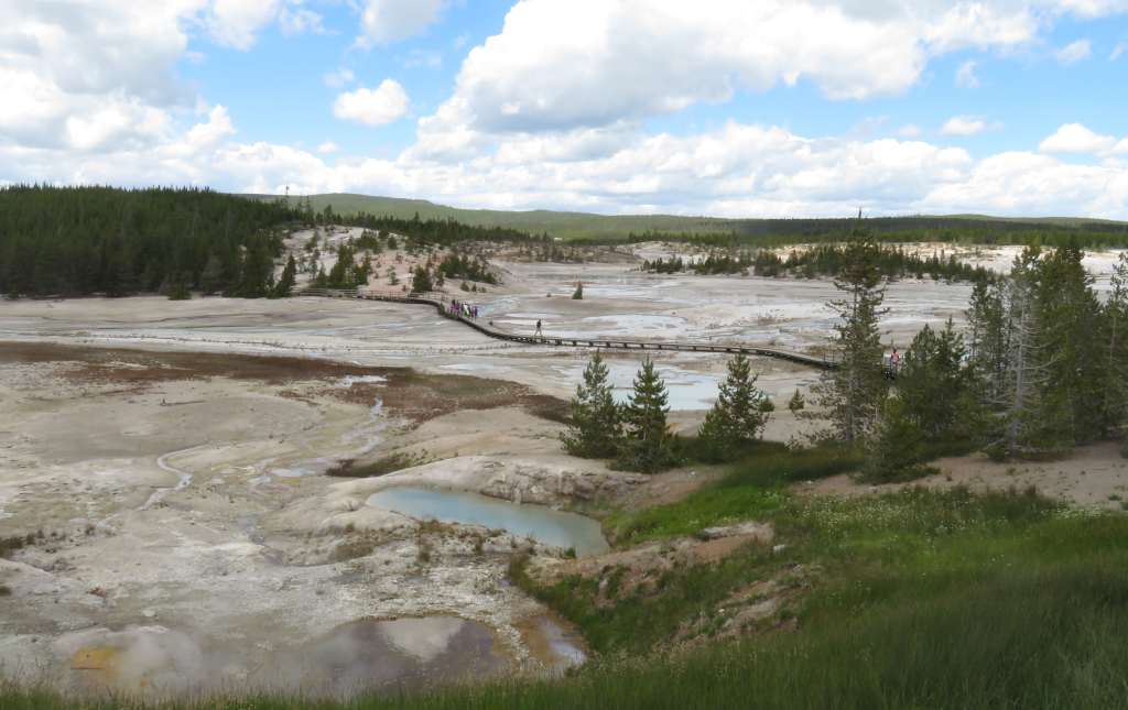 Norris Geyser Basin