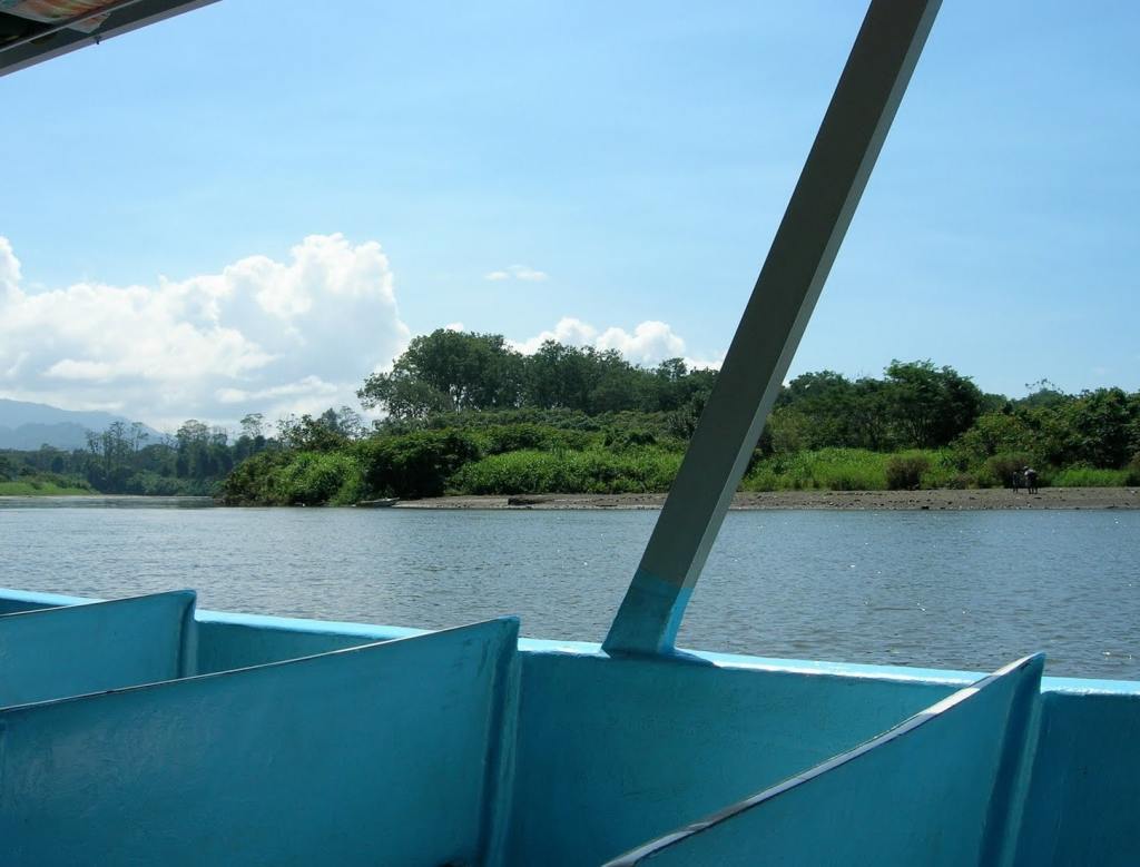 Mangrove Cruise