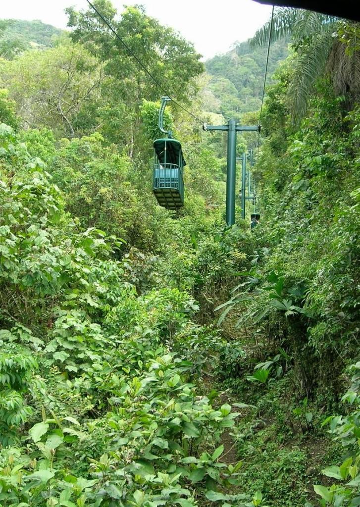 Rainforest aerial tram