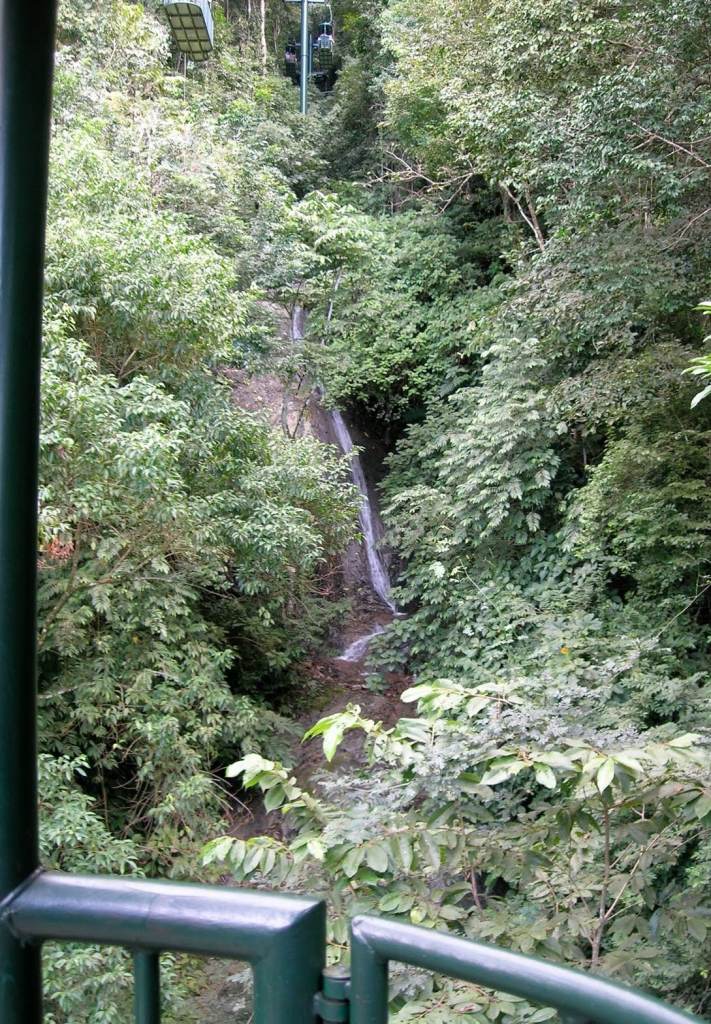 Rainforest aerial tram ride