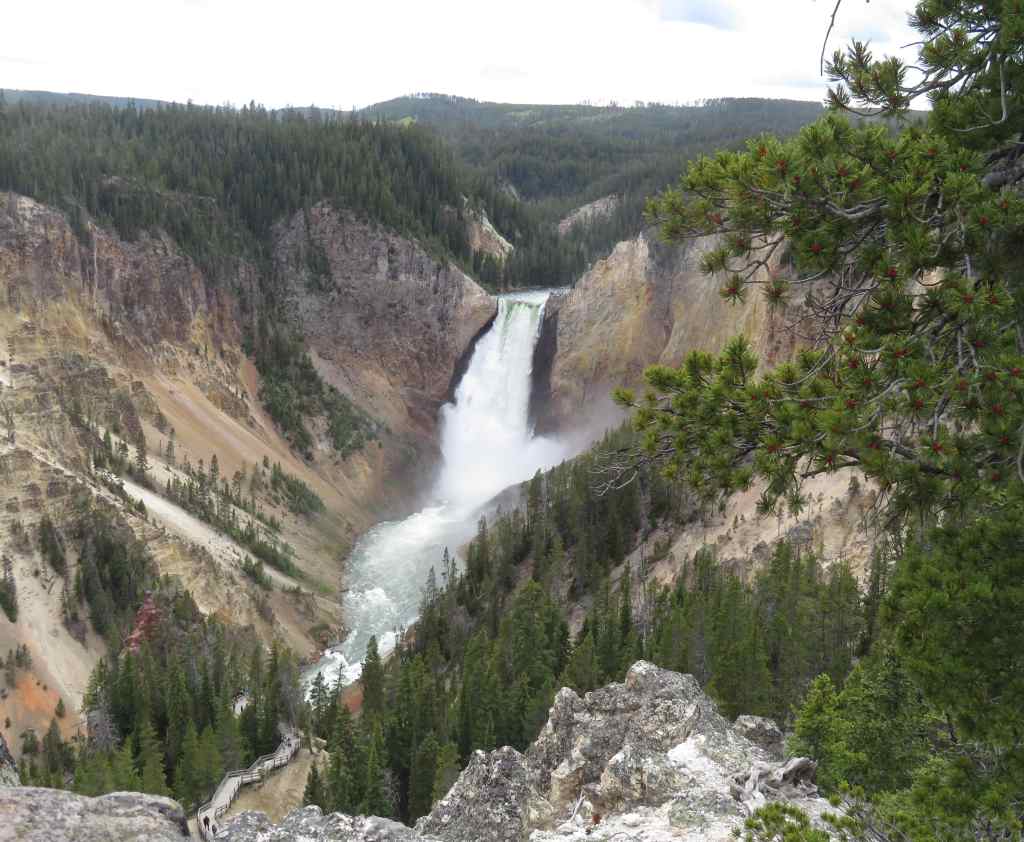 Powerful Yellowstone Falls