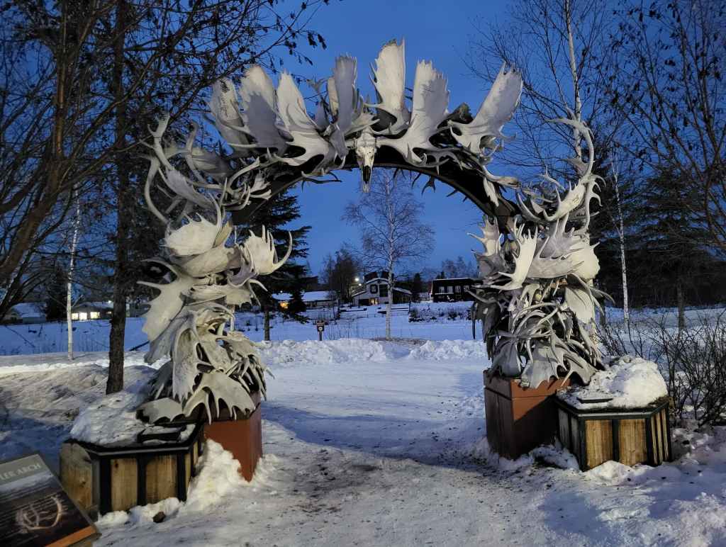 Moose Antler Arch